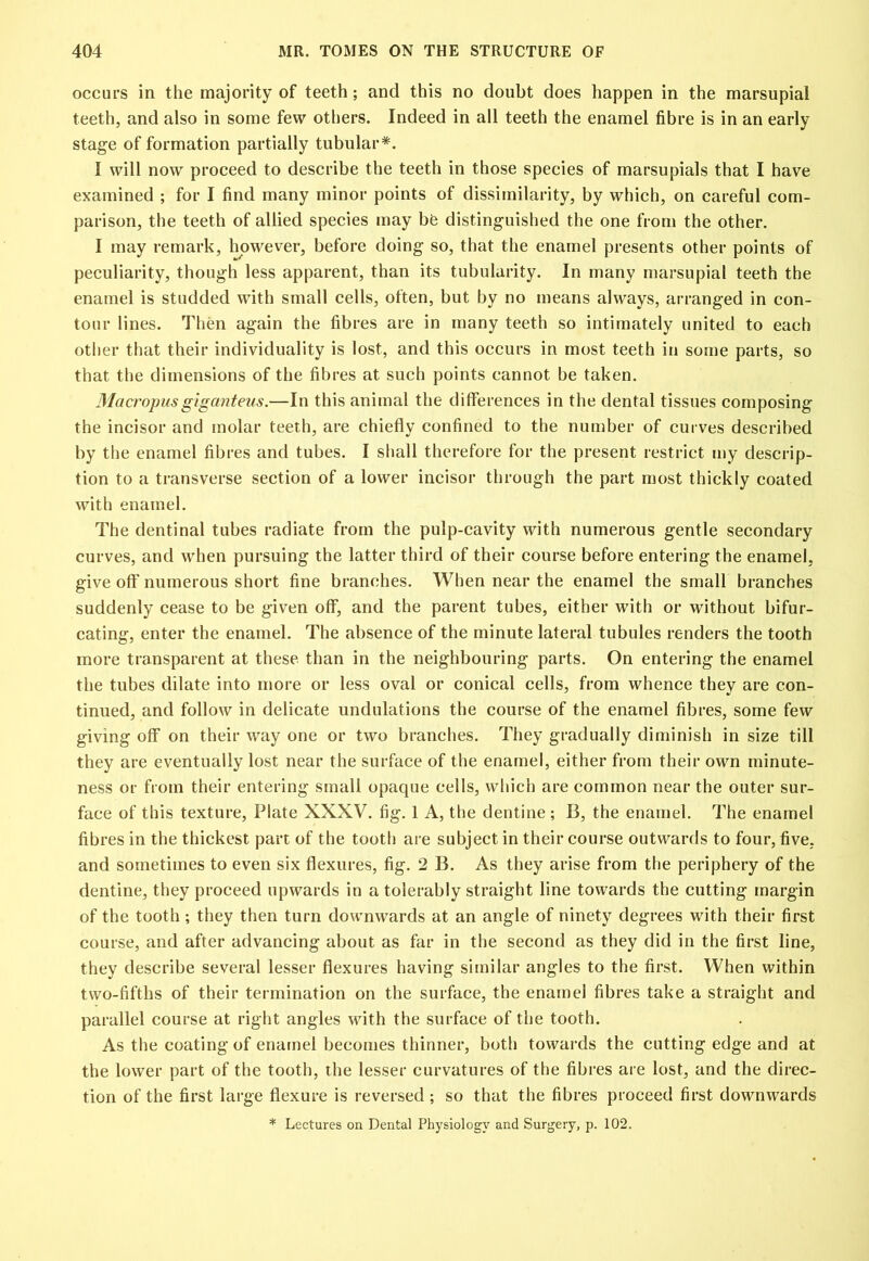 occurs in the majority of teeth ; and this no doubt does happen in the marsupial teeth, and also in some few others. Indeed in all teeth the enamel fibre is in an early stage of formation partially tubular*. I will now proceed to describe the teeth in those species of marsupials that I have examined ; for I find many minor points of dissimilarity, by which, on careful com- parison, the teeth of allied species may be distinguished the one from the other. I may remark, however, before doing so, that the enamel presents other points of peculiarity, though less apparent, than its tubularity. In many marsupial teeth the enamel is studded with small cells, often, but by no means always, arranged in con- tour lines. Then again the fibres are in many teeth so intimately united to each other that their individuality is lost, and this occurs in most teeth in some parts, so that the dimensions of the fibres at such points cannot he taken. Macropus giganteus.—In this animal the differences in the dental tissues composing the incisor and molar teeth, are chiefly confined to the number of curves described by the enamel fibres and tubes. I shall therefore for the present restrict my descrip- tion to a transverse section of a lower incisor through the part most thickly coated with enamel. The dentinal tubes radiate from the pulp-cavity with numerous gentle secondary curves, and when pursuing the latter third of their course before entering the enamel, give off' numerous short fine branches. When near the enamel the small branches suddenly cease to be given off, and the parent tubes, either with or without bifur- cating, enter the enamel. The absence of the minute lateral tubules renders the tooth more transparent at these than in the neighbouring parts. On entering the enamel the tubes dilate into more or less oval or conical cells, from whence they are con- tinued, and follow in delicate undulations the course of the enamel fibres, some few giving off on their way one or two branches. They gradually diminish in size till they are eventually lost near the surface of the enamel, either from their own minute- ness or from their entering small opacjue cells, which are common near the outer sur- face of this texture, Plate XXXV. fig. 1 A, the dentine ; B, the enamel. The enamel fibres in the thickest part of the tooth are subject in their course outwards to four, five, and sometimes to even six flexures, fig. 2 B. As they arise from the periphery of the dentine, they proceed upwards in a tolerably straight line towards the cutting margin of the tooth; they then turn downwards at an angle of ninety degrees with their first course, and after advancing about as far in the second as they did in the first line, they describe several lesser flexures having similar angles to the first. When within two-fifths of their termination on the surface, the enamel fibres take a straight and parallel course at right angles with the surface of the tooth. As the coating of enamel becomes thinner, both towards the cutting edge and at the lower part of the tooth, the lesser curvatures of the fibres are lost, and the direc- tion of the first large flexure is reversed ; so that the fibres proceed first downwards