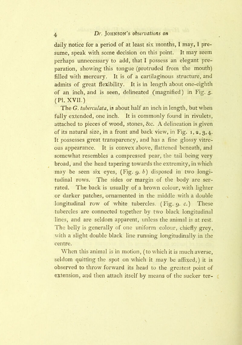 daily notice for a period of at least six months, I may, I pre- sume, speak with some decision on this point. It may seem perhaps unnecessary to add, that I possess an elegant pre- paration, showing this tongue (protruded from the mouth) filled with mercury. It is of a cartilaginous structure, and admits of great flexibility. It is in length about one-eighth of an inch, and is seen, delineated (magnified) in Fig. 5. (PI. XVII.) The G. tuberculata, is about half an inch in length, but when fully extended, one inch. It is commonly found in rivulets, attached to pieces of wood, stones, &c. A delineation is given of its natural size, in a front and back view, in Fig. 1, 2, 3,4. It possesses great transparency, and has a fine glossy vitre- ous appearance. It is convex above, flattened beneath, and somewhat resembles a compressed pear, the tail being very broad, and the head tapering towards the extremity, in which may be seen six eyes, (Fig. 9. b) disposed in two longi- tudinal rows. The sides or margin of the body are ser- rated. The back is usually of a brown colour, with lighter or darker patches, ornamented in the middle with a double longitudinal row of white tubercles. (Fig. 9. c.) These tubercles are connected together by two black longitudinal lines, and are seldom apparent, unless the animal is at rest. The belly is generally of one uniform colour, chiefly grey, with a slight double black line running longitudinally in the centre. When this animal is in motion, (to which it is much averse, seldom quitting the spot on which it may be affixed,) it is observed to throw forward its head to the greatest point of extension, and then attach itself by means of the sucker ter-