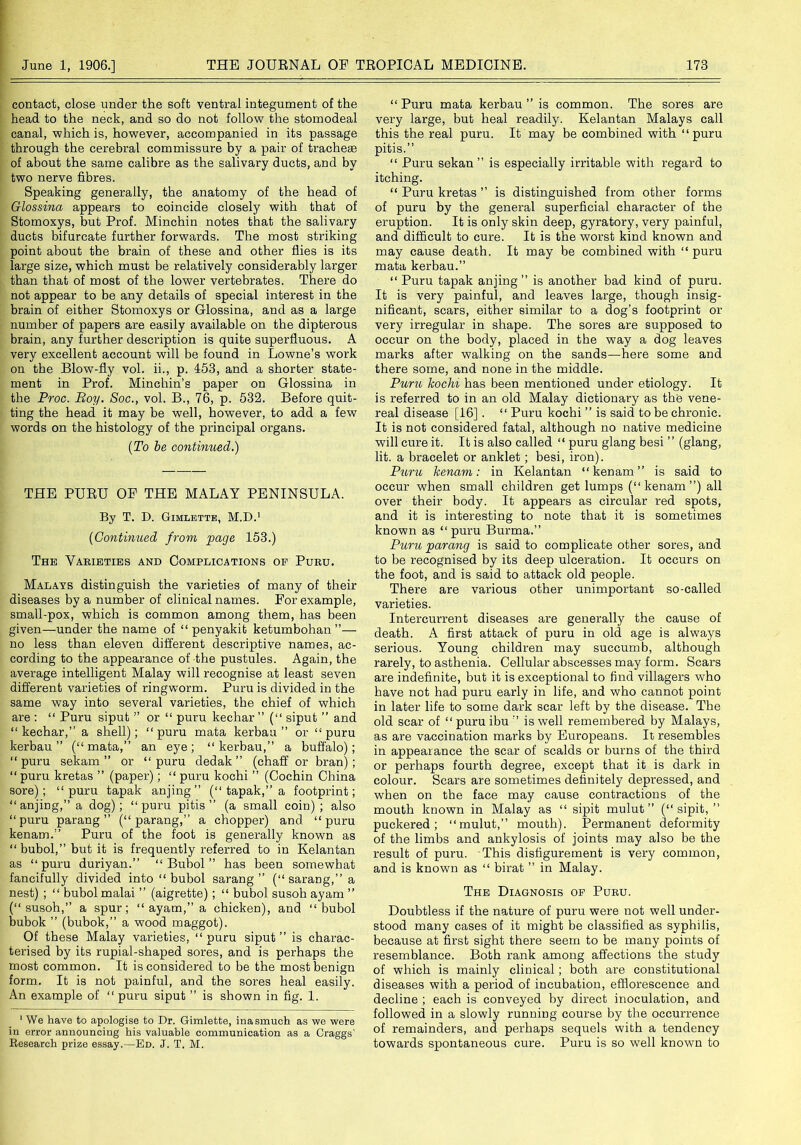 contact, close under the soft ventral integument of the head to the neck, and so do not follow the stomodeal canal, which is, however, accompanied in its passage through the cerebral commissure by a pair of tracheae of about the same calibre as the salivary ducts, and by two nerve fibres. Speaking generally, the anatomy of the head of Glossina appears to coincide closely with that of Stomoxys, but Prof. Minchin notes that the salivary ducts bifurcate further forwards. The most striking point about the brain of these and other flies is its large size, which must be relatively considerably larger than that of most of the lower vertebrates. There do not appear to be any details of special interest in the brain of either Stomoxys or Glossina, and as a large number of papers are easily available on the dipterous brain, any further description is quite superfluous. A very excellent account will be found in Lowne’s work on the Blow-fly vol. ii., p. 153, and a shorter state- ment in Prof. Minchin’s paper on Glossina in the Proc. Boy. Soc., vol. B., 76, p. 532. Before quit- ting the head it may be well, however, to add a few words on the histology of the principal organs. (To be continued.) THE PURU OF THE MALAY PENINSULA. By T. D. Gimlette, M.D.1 (Continued from page 153.) The Varieties and Complications of Puru. Malays distinguish the varieties of many of their diseases by a number of clinical names. For example, small-pox, which is common among them, has been given—under the name of “ penyakit ketumbohan ”— no less than eleven different descriptive names, ac- cording to the appearance of the pustules. Again, the average intelligent Malay will recognise at least seven different varieties of ringworm. Puru is divided in the same way into several varieties, the chief of which are : “ Puru siput ” or “ puru kechar ” (“ siput ” and “ kechar,” a shell); “puru mata kerbau ” or “puru kerbau ” (“mata,” an eye; “kerbau,” a buffalo); “puru sekam ” or “puru dedak ” (chaff or bran); “ puru kretas ” (paper); “ puru kochi ” (Cochin China sore); “puru tapak anjing” (“ tapak,” a footprint; “anjing,” a dog); “puru pitis ” (a small coin) ; also “puru parang” (“parang,” a chopper) and “puru kenam.” Puru of the foot is generally known as “ bubol,” but it is frequently referred to in Kelantan as “puru duriyan.” “Bubol” has been somewhat fancifully divided into “bubol sarang ” (“ sarang,” a nest) ; “ bubol malai ” (aigrette) ; “ bubol susoh ayam ” (“ susoh,” a spur; “ ayam,” a chicken), and “bubol bubok ” (bubok,” a wood maggot). Of these Malay varieties, “ puru siput ” is charac- terised by its rupial-shaped sores, and is perhaps the most common. It is considered to be the most benign form. It is not painful, and the sores heal easily. An example of “ puru siput ” is shown in fig. 1. 1 We have to apologise to Dr. Gimlette, inasmuch as we were in error announcing his valuable communication as a Craggs’ Research prize essay.—Ed. J. T. M. “ Puru mata kerbau ” is common. The sores are very large, but heal readily. Kelantan Malays call this the real puru. It may be combined with “puru pitis.” “ Puru sekan ” is especially irritable with regard to itching. “ Puru kretas ” is distinguished from other forms of puru by the general superficial character of the eruption. It is only skin deep, gyratory, very painful, and difficult to cure. It is the worst kind known and may cause death. It may be combined with “ puru mata kerbau.” “ Puru tapak anjing ” is another bad kind of puru. It is very painful, and leaves large, though insig- nificant, scars, either similar to a dog’s footprint or very irregular in shape. The sores are supposed to occur on the body, placed in the way a dog leaves marks after walking on the sands—here some and there some, and none in the middle. Puru kochi has been mentioned under etiology. It is referred to in an old Malay dictionary as the vene- real disease [16]. “ Puru kochi ” is said to be chronic. It is not considered fatal, although no native medicine will cure it. It is also called “ puru glang besi ” (glang, lit. a bracelet or anklet ; besi, iron). Puru kenam: in Kelantan “kenam” is said to occur when small children get lumps (“kenam”) all over their body. It appears as circular red spots, and it is interesting to note that it is sometimes known as “ puru Burma.” Puru parang is said to complicate other sores, and to be recognised by its deep ulceration. It occurs on the foot, and is said to attack old people. There are various other unimportant so-called varieties. Intercurrent diseases are generally the cause of death. A first attack of puru in old age is always serious. Young children may succumb, although rarely, to asthenia. Cellular abscesses may form. Scars are indefinite, but it is exceptional to find villagers who have not had puru early in life, and who cannot point in later life to some dark scar left by the disease. The old scar of “ puru ibu ” is well remembered by Malays, as are vaccination marks by Europeans. It resembles in appearance the scar of scalds or burns of the third or perhaps fourth degree, except that it is dark in colour. Scars are sometimes definitely depressed, and when on the face may cause contractions of the mouth known in Malay as “ sipit mulut ” (“ sipit, ” puckered; “mulut,” mouth). Permanent deformity of the limbs and ankylosis of joints may also be the result of puru. This disfigurement is very common, and is known as “ birat ” in Malay. The Diagnosis of Puru. Doubtless if the nature of puru were not well under- stood many cases of it might be classified as syphilis, because at first sight there seem to be many points of resemblance. Both rank among affections the study of which is mainly clinical; both are constitutional diseases with a period of incubation, efflorescence and decline ; each is conveyed by direct inoculation, and followed in a slowly running course by the occurrence of remainders, and perhaps sequels with a tendency towards spontaneous cure. Puru is so well known to