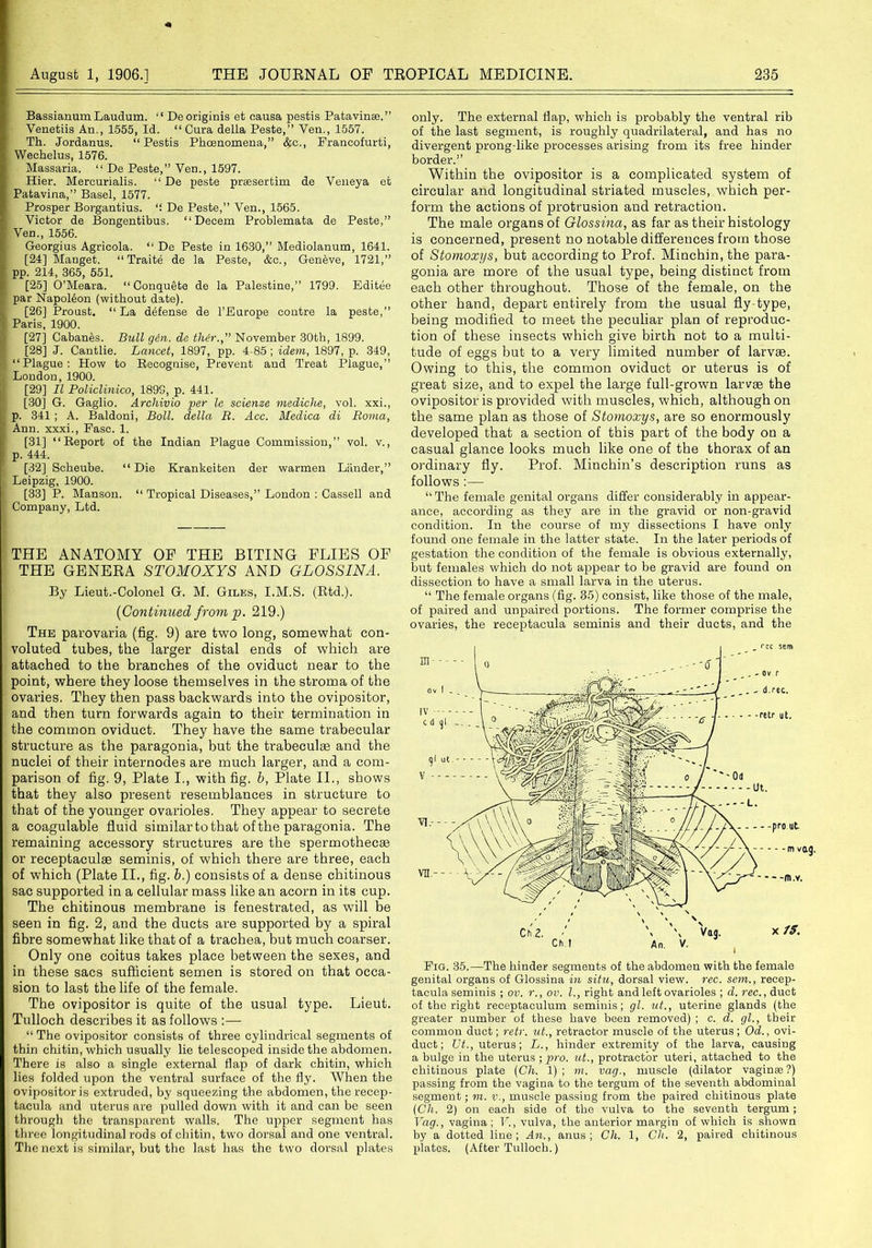 Bassianum Laudum. “ Deoriginis et oausa pestis Patavinse.” Venetiis An., 1555, Id. “ Cura della Peste,” Yen., 1557. Th. Jordanus. “Pestis Phoenomena,” &c., Prancofurti, Wechelus, 1576. Massaria. “ De Peste,” Ven., 1597. Hier. Mercurialis. “ De peste preesertim de Veneya et Patavina,” Basel, 1577. Prosper Borgantius. “. De Peste,” Yen., 1565. Victor de Bongentibus. “Decern Problemata de Peste,” Ven., 1556. Georgius Agricola. “ De Peste in 1630,” Mediolanum, 1641. [24] Manget. “ Traite de la Peste, &c., Geneve, 1721,” pp. 214, 365, 551. [25] O’Meara. “ Oonquete de la Palestine,” 1799. Editee par Napoleon (without date). [26] Proust. “La defense de l’Europe contre la peste,” Paris, 1900. [27] Cabanes. Bull gin. de th(r.” November 30th, 1899. [28] J. Cantlie. Lancet, 1897, pp. 4-85 ; idem, 1897, p. 349, “Plague: How to Recognise, Prevent and Treat Plague,” London, 1900. [29] II Policlinico, 189S, p. 441. [30] G. Gaglio. Arcliivio per le scienze mediclie, vol. xxi., p. 341 ; A. Baldoni, Boll, della R. Acc. Medica di Roma, Ann. xxxi., Fasc. 1. [31] “Report of the Indian Plague Commission,” vol. v., p. 444. [32] Scheube. “ Die Krankeiten der warmen Lander,” Leipzig, 1900. [33] P. Manson. “ Tropical Diseases,” London : Cassell and Company, Ltd. THE ANATOMY OF THE BITING FLIES OF THE GENERA STOMOXYS AND GLOSSINA. By Lieut.-Colonel G. M. Giles, I.M.S. (Rtd.). (Continued from p. 219.) The parovaria (fig. 9) are two long, somewhat con- voluted tubes, the larger distal ends of which are attached to the branches of the oviduct near to the point, where they loose themselves in the stroma of the ovaries. They then pass backwards into the ovipositor, and then turn forwards again to their termination in the common oviduct. They have the same trabecular structure as the paragonia, but the trabeculae and the nuclei of their internodes are much larger, and a com- parison of fig. 9, Plate I., with fig. b, Plate II., shows that they also present resemblances in structure to that of the younger ovarioles. They appear to secrete a coagulable fluid similar to that of the paragonia. The remaining accessory structures are the spermothecae or receptaculae seminis, of which there are three, each of which (Plate II., fig. b.) consists of a dense chitinous sac supported in a cellular mass like an acorn in its cup. The chitinous membrane is fenestrated, as will be seen in fig. 2, and the ducts are supported by a spiral fibre somewhat like that of a trachea, but much coarser. Only one coitus takes place between the sexes, and in these sacs sufficient semen is stored on that occa- sion to last the life of the female. The ovipositor is quite of the usual type. Lieut. Tulloch describes it as follows :— “ The ovipositor consists of three cylindrical segments of thin chitin, which usually lie telescoped inside the abdomen. There is also a single external flap of dark chitin, which lies folded upon the ventral surface of the fly. When the ovipositor is extruded, by squeezing the abdomen, the recep- tacula and uterus are pulled down with it and can be seen through the transparent walls. The upper segment has three longitudinal rods of chitin, two dorsal and one ventral. The next is similar, but the last has the two dorsal plates only. The external flap, which is probably the ventral rib of the last segment, is roughly quadrilateral, and has no divergent prong-like processes arising from its free hinder border.” Within the ovipositor is a complicated system of circular and longitudinal striated muscles, which per- form the actions of protrusion and retraction. The male organs of Glossinct, as far as their histology is concerned, present no notable differences from those of Stomoxys, but according to Prof. Minchin, the para- gonia are more of the usual type, being distinct from each other throughout. Those of the female, on the other hand, depart entirely from the usual fly-type, being modified to meet the peculiar plan of reproduc- tion of these insects which give birth not to a multi- tude of eggs but to a very limited number of larvae. Owing to this, the common oviduct or uterus is of great size, and to expel the large full-grown larvae the ovipositor is provided with muscles, which, although on the same plan as those of Stomoxys, are so enormously developed that a section of this part of the body on a casual glance looks much like one of the thorax of an ordinary fly. Prof. Minchin’s description runs as follows :— “ The female genital organs differ considerably in appear- ance, according as they are in the gravid or non-gravid condition. In the course of my dissections I have only found one female in the latter state. In the later periods of gestation the condition of the female is obvious externally, but females which do not appear to be gravid are found on dissection to have a small larva in the uterus. “ The female organs (fig. 35) consist, like those of the male, of paired and unpaired portions. The former comprise the ovaries, the receptacula seminis and their ducts, and the Fig. 35.—The hinder segments of the abdomen with the female genital organs of Glossina in situ, dorsal view. rec. sem., recep- tacula seminis ; ov. r., ov. 1., right and left ovarioles ; d. rec., duct of the right receptaculum seminis; gl. ut., uterine glands (the greater number of these have been removed) ; c. d. gl., their common duct; retr. ut., retractor muscle of the uterus; Od., ovi- duct; TJt., uterus; L., hinder extremity of the larva, causing a bulge in the uterus ; pro. ut., protractor uteri, attached to the chitinous plate (Ch. 1); ni. vag., muscle (dilator vaginas?) passing from the vagina to the tergum of the seventh abdominal segment; m. v., muscle passing from the paired chitinous plate (Ch. 2) on each side of the vulva to the seventh tergum; Tag., vagina; V., vulva, the anterior margin of which is shown by a dotted line; An., anus; Ch. 1, Ch. 2, paired chitinous plates. (After Tulloch.)