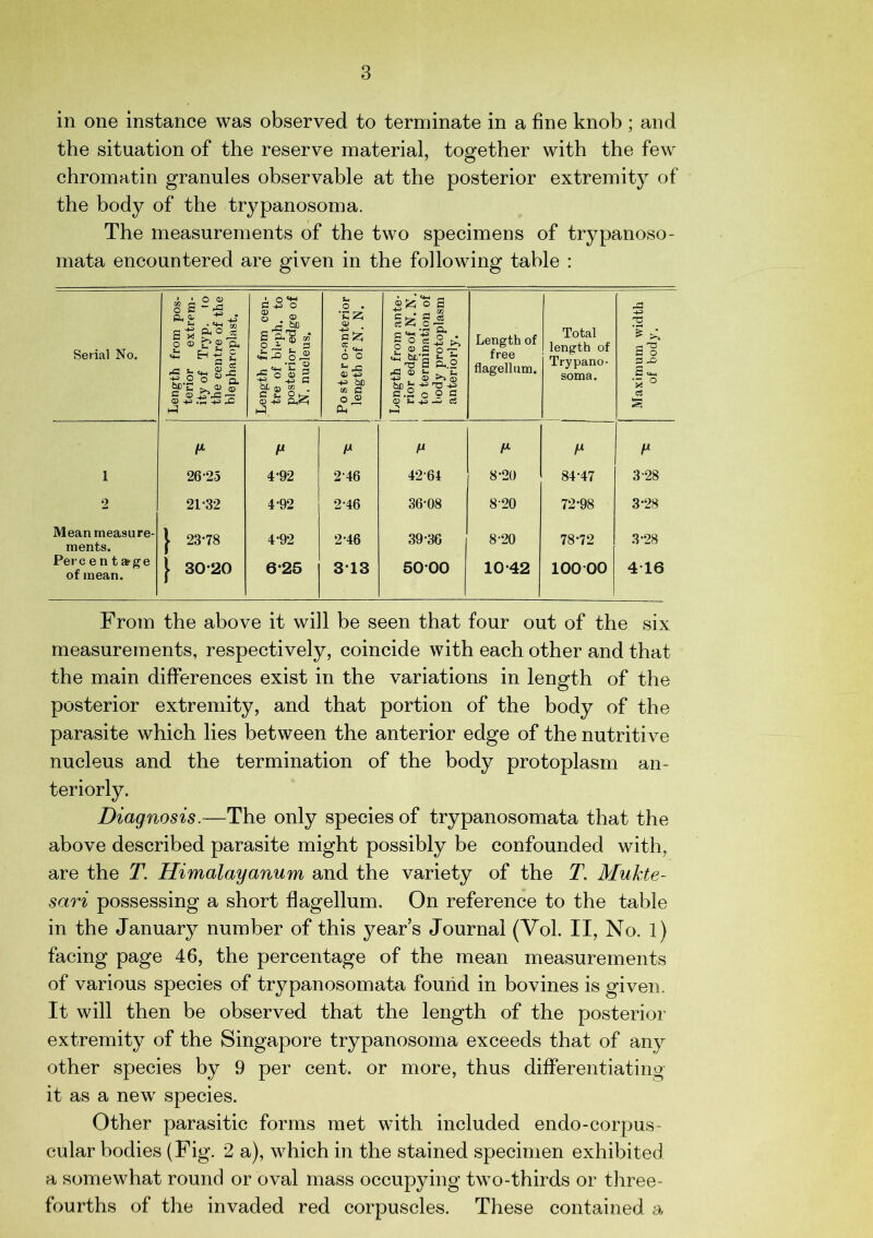 in one instance was observed to terminate in a fine knob ; and the situation of the reserve material, together with the few chromatin granules observable at the posterior extremity of the body of the trypanosoma. The measurements of the two specimens of trypanoso- mata encountered are given in the following table : Serial No. Length from pos- terior extrem- ity of Tryp. to the centre of the blepharoplast. Length from cen- tre of bleph. to posterior edge of N. nucleus. P o ster o-anterior length of N. N. ' Length from ante- rior edge of N. N. to termination of body protoplasm anteriorly. Length of free flagellum. Total length of Trypano- soma. Maximum width of body. V /* P 1 26 25 4*92 246 42-64 8-20 84-47 3-28 2 21-32 4-92 2-46 36-08 8-20 72-98 3-28 Mean measure- ments. } 23*78 4-92 2-46 39-36 8-20 78-72 3-28 Perce n targe of mean. | 30-20 6-25 313 5000 10-42 10000 416 From the above it will be seen that four out of the six measurements, respectively, coincide with each other and that the main differences exist in the variations in length of the posterior extremity, and that portion of the body of the parasite which lies between the anterior edge of the nutritive nucleus and the termination of the body protoplasm an- teriorly. Diagnosis.—The only species of trypanosomata that the above described parasite might possibly be confounded with, are the T. Himalayanum and the variety of the T\ Mukte- sari possessing a short flagellum. On reference to the table in the January number of this year’s Journal (Vol. II, No. 1) facing page 46, the percentage of the mean measurements of various species of trypanosomata found in bovines is given. It will then be observed that the length of the posterior extremity of the Singapore trypanosoma exceeds that of any other species by 9 per cent, or more, thus differentiating it as a new species. Other parasitic forms met with included endo-corpus- cular bodies (Fig. 2 a), which in the stained specimen exhibited a somewhat round or oval mass occupying two-thirds or three- fourths of the invaded red corpuscles. These contained a