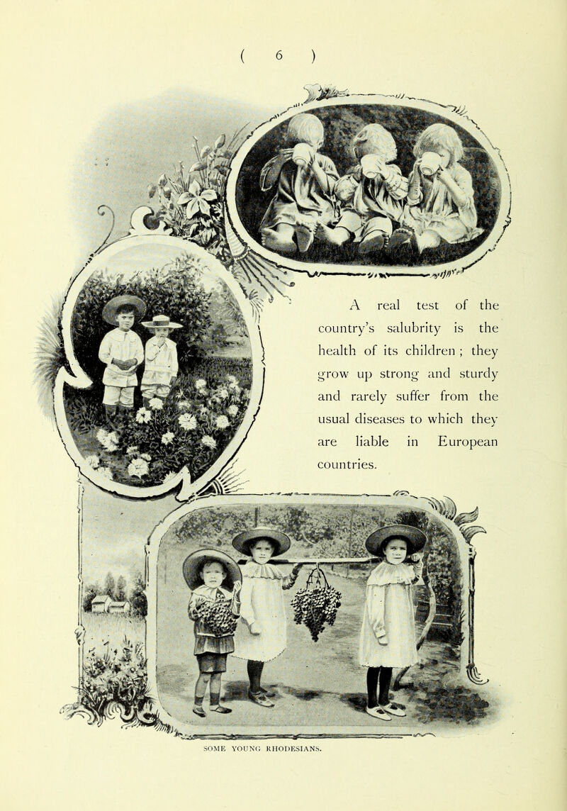 A real test of the country’s salubrity is the health of its children ; they grow up strong and sturdy and rarely suffer from the usual diseases to which they are liable in European countries. SOME YOUNG RHODESIANS.