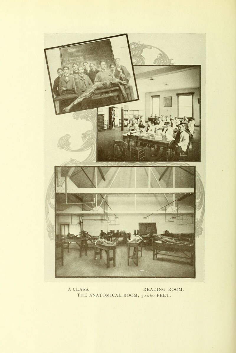 A CLASS. READING ROOM. THE ANATOMICAL ROOM, 50x60 FEET.