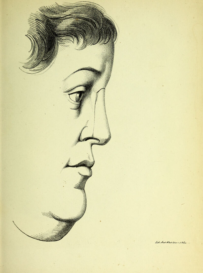 < ■Srt&trJf-smcAo'Zna*: 4f ScZ** . —