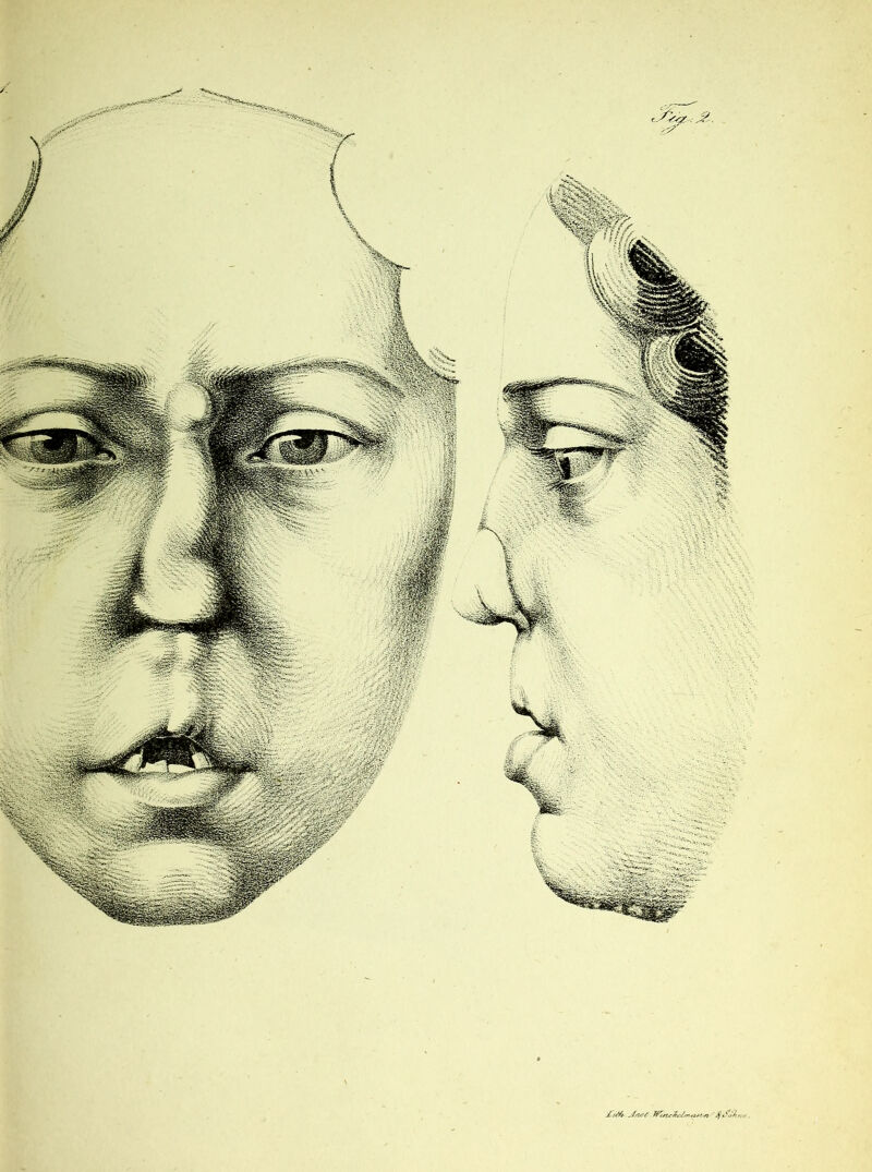 £ i/fl-. £/U/. 7Pehc%cliri<pr*n'' .