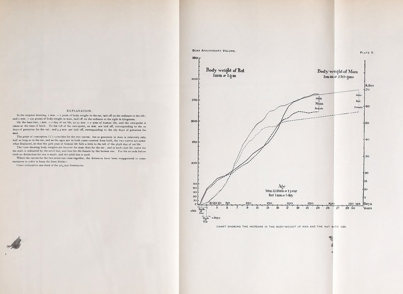 EXPLANATION. In the original drawing, i ram. = i gram of body-weight in the rat, laid off on the ordinate to the left; and i mm. = 250 grams of body-weight in man, laid off on the ordinate to the right in kilogTams. On the base-line, 1 mm. = 1 day of rat life, 12.15 mm. = 1 year of human life, and the zero-point is taken at the time of birth. To the left of the zero-point, 21 mm. are laid off, corresponding to the 21 days of gestation for the rat; and 9.4 mm. are laid off, corresponding to the 285 days of gestation for The point of conception ( C) coincides for the two curves . but as gestation in man is relatively only half as long as in the rat, and as the ages arc in both cases counted from birth, the two curves are some- what displaced, so that the 30th year of human life falls a little to the left of the 365th day of rat life. The lines showing body-weights are heavier for man than for the rat, and in each case the curve for the male is indicated by the solid line, and that for the female by the broken one. For the records before birth no distinction for sex is made, and the solid line is used. Where the curves for the two sexes run close together, the distances have been exaggerated in some instances in order to keep the lines distinct. Chart reduced to one-third of the original dimensions Boas Anniversary Volume.