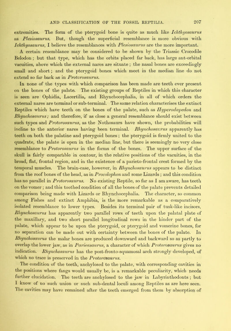 extremities. The form of the pterygoid bone is quite as much like Ichthyosaurus as Plesiosaurus. But, though the superficial resemblance is more obvious with Ichthyosaurus, I believe the resemblances with Plesiosaurus are the more important. A certain resemblance may be considered to be shown by the Triassic Crocodile Belodon; but that type, wdiich has the orbits placed far back, has large ant-orbital vacuities, above which the external nares are situate ; the nasal bones are exceedingly small and short; and the pterygoid bones which meet in the median line do not extend so far back as in Protorosaurus. In none of the types with which comparison has been made are teeth ever present on the bones of the palate. The existing groups of Reptiles in which this character is seen are Ophidia, Lacertilia, and Rhynchocephalia, in all of which orders the external nares are terminal or sub-terminal. The same relation characterises the extinct Reptiles which have teeth on the bones of the palate, such as Hyperodapedon and Rhynchosaurus; and therefore, if as close a general resemblance should exist between such types and Protorosaurus, as the Nothosaurs have shown, the probabilities will incline to the anterior nares having been terminal. Rhynchosaurus apparently has teeth on both the palatine and pterygoid bones ; the pterygoid is firmly united to the quadrate, the palate is open in the median line, but there is seemingly no very close resemblance to Protorosaurus in the forms of the bones. The upper surface of the skull is fairly comparable in contour, in the relative positions of the vacuities, in the broad, flat, frontal region, and in the existence of a parieto-frontal crest formed by the temporal muscles. The brain-case, however, in Rhynchosaurus appears to be distinct from the roof bones of the head, as in Procolophon and some Lizards ; and this condition has no parallel in Protorosaurus. No existing Reptile, so far as I am aware, has teeth on the vomer ; and this toothed condition of all the bones of the palate prevents detailed comparison being made with Lizards or Rhynchocephalia. The character, so common among Fishes and extinct Amphibia, is the more remarkable as a comparatively isolated resemblance to lower types. Besides its terminal pair of tusk-like incisors, Rhynchosaurus has apparently two parallel rows of teeth upon the palatal plate of the maxillary, and two short parallel longitudinal rows in the hinder part of the palate, which appear to be upon the pterygoid, or pterygoid and vomerine bones, for no separation can be made out with certainty between the bones of the palate. In Rhynchosaurus the malar bones are produced downward and backward so as partly to overlap the lower jaw, as in Parieasaurus, a character of which Protorosaurus gives no indication. Rhynchosaurus has the post-fronto-squamosal arch strongly developed, of which no trace is preserved in the Protorosaurus. The condition of the teeth, anchylosed to the palate, with corresponding cavities in the positions where fangs would usually be, is a remarkable peculiarity, which needs further elucidation. The teeth are anchylosed to the jaw in Labyrinthodonts ; but I know of no such union or such sub-dental loculi among Reptiles as are here seen. The cavities may have remained after the teeth emerged from them by absorption of