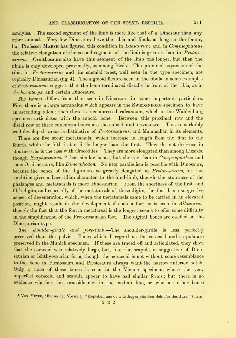 condyles. The second segment of the limb is more like that of a Dinosaur than any other animal. Very few Dinosaurs have the tibia and fibula as long as the femur, but Professor Marsh has figured this condition in Laosaurus; and in Compsognathus the relative elongation of the second segment of the limb is greater than in Protoro- saurus. Ornithosaurs also have this segment of the limb the longer, but then the fibula is only developed proximally, as among Birds. The proximal expansion of the tibia in Protorosaurus and its cnemial crest, well seen in the type specimen, are typically Dinosaurian (fig. 4). The sigmoid flexure seen in the fibula in some examples of Protorosaurus suggests that the bone terminated distally in front of the tibia, as in Archaeopteryx and certain Dinosaurs. The tarsus differs from that seen in Dinosaurs in some important particulars. First there is a large astragalus which appears in the Swedenborg specimen to have an ascending talon ; then there is a compressed calcaneum, which in the Waldenburg specimen articulates with the cuboid bone. Between this proximal row and the distal row of three cuneiform bones are the cuboid and naviculare. This remarkably well developed tarsus is distinctive of Protorosaurus, and Mammalian in its elements. There are five stout metatarsals, which increase in length from the first to the fourth, while the fifth is but little longer than the first. They do not decrease in stoutness, as is the case with Crocodiles. They are more elongated than among Lizards, though Scaphceosaurus * has similar bones, but shorter than in Compsognathus and some Ornithosaurs, like Dimorphodon. No near parallelism is possible with Dinosaurs, because the bones of the digits are so greatly elongated in Protorosaurus, for this condition gives a Lacertilian character to the hind-limb, though the stoutness of the phalanges and metatarsals is more Dinosaurian. From the shortness of the first and fifth digits, and especially of the metatarsals of those digits, the foot has a suggestive aspect of degeneration, which, when the metatarsals came to be carried in an elevated position, might residt in the development of such a foot as is seen in Allosaurus, though the fact that the fourth metatarsal is the longest seems to offer some difficulty in the simplification of the Protorosaurian foot. The digital bones are ossified on the Dinosaurian type. The shoulder-girdle and fore-limb.—The shoulder-girdle is less perfectly preserved than the pelvis. Bones which I regard as the coracoid and scapula are preserved in the Munich specimen. If these are traced off and articulated, they show that the coracoid was relatively large, but, like the scapula, is suggestive of Dino- saurian or Ichthyosaurian form, though the coracoid is not without some resemblance to the bone in Plesiosaurs, and Plesiosaurs always want the narrow anterior notch. Only a trace of these bones is seen in the Vienna specimen, where the very imperfect coracoid and scapula appear to have had similar forms ; but there is no evidence whether the coracoids met in the median line, or whether other bones .* Vox Meyer, ‘ Fauna der Vorwelt,’ “ Itepfcilien aus dem Lithographischen Schiefer des Jura,” t. xiii. 2 E 2
