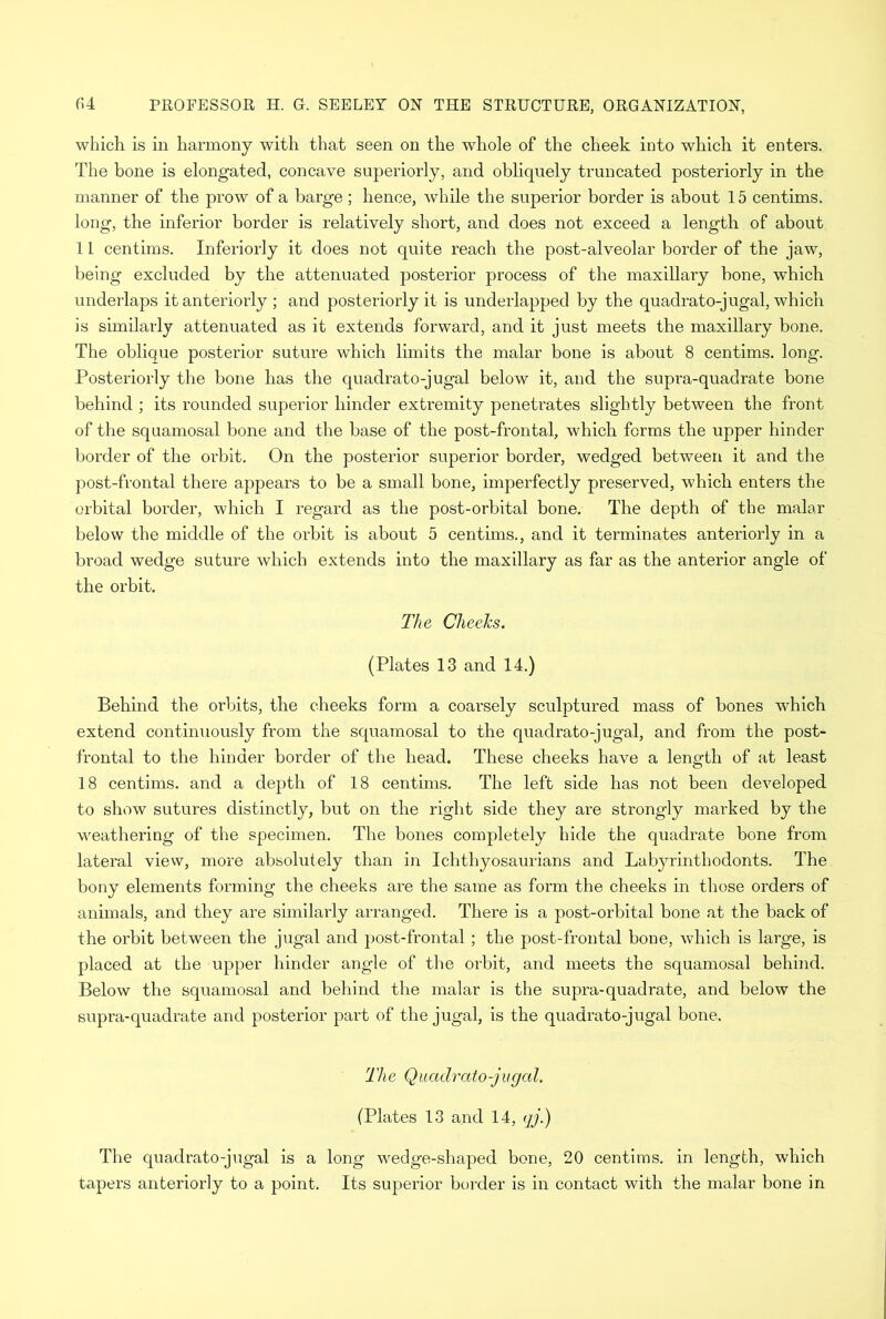 which is in harmony with that seen on the whole of the cheek into which it enters. The bone is elongated, concave superiorly, and obliquely truncated posteriorly in the manner of the prow of a barge; hence, while the superior border is about 15 centims. long, the inferior border is relatively short, and does not exceed a length of about 11 centims. Interiorly it does not quite reach the post-alveolar border of the jaw, being excluded by the attenuated posterior process of the maxillary bone, which underlaps it anteriorly ; and posteriorly it is underlapped by the quadrato-jugal, which is similarly attenuated as it extends forward, and it just meets the maxillary bone. The oblique posterior suture which limits the malar bone is about 8 centims. long. Posteriorly the bone has the quadrato-jugal below it, and the supra-quadrate bone behind ; its rounded superior hinder extremity penetrates slightly between the front of the squamosal bone and the base of the post-frontal, which forms the upper hinder border of the orbit. On the posterior superior border, wedged between it and the post-frontal there appears to be a small bone, imperfectly preserved, which enters the orbital border, which I regard as the post-orbital bone. The depth of the malar below the middle of the orbit is about 5 centims., and it terminates anteriorly in a broad wedge suture which extends into the maxillary as far as the anterior angle of the orbit. The Cheeks. (Plates 13 and 14.) Behind the orbits, the cheeks form a coarsely sculptured mass of bones which extend continuously from the squamosal to the quadrato-jugal, and from the post- frontal to the hinder border of the head. These cheeks have a length of at least 18 centims. and a depth of 18 centims. The left side has not been developed to show sutures distinctly, but on the right side they are strongly marked by the weathering of the specimen. The bones completely hide the quadrate bone from lateral view, more absolutely than in Ichthyosaurians and Labyrinthodonts. The bony elements forming the cheeks are the same as form the cheeks in those orders of animals, and they are similarly arranged. There is a post-orbital bone at the back of the orbit between the jugal and post-frontal ; the post-frontal bone, which is large, is placed at the upper hinder angle of the orbit, and meets the squamosal behind. Below the squamosal and behind the malar is the supra-quadrate, and below the supra-quadrate and posterior part of the jugal, is the quadrato-jugal bone. The Quadrato-jugal. (Plates 13 and 14, qj.) The quadrato-jugal is a long wedge-shaped bone, 20 centims. in length, which tapers anteriorly to a point. Its superior border is in contact with the malar bone in