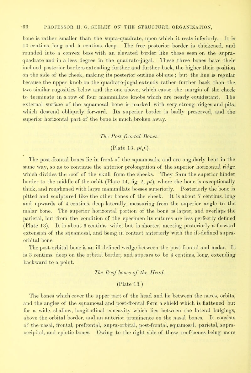 bone is rather smaller than the snpra-quadrate, upon which it rests interiorly. It is 10 centims. long and 5 centims. deep. The free posterior border is thickened, and rounded into a convex boss with an elevated border like those seen on the supra- quadrate and in a less degree in the quadrato-jugal. These three bones have their inclined posterior borders extending further and further back, the higher their position on the side of the cheek, making its posterior outline oblique ; but the line is regular because the upper knob on the quadrato-jugal extends rather further back than the two similar rugosities below and the one above, which cause the margin of the cheek to terminate in a row of four mammillate knobs which are nearly equidistant. The external surface of the squamosal bone is marked with very strong ridges and pits, which descend obliquely forward. Its superior border is badly preserved, and the superior horizontal part of the bone is much broken away. The Post-frontal Bones. (Plate 13, ptf) The post-frontal bones lie in front of the squamosals, and are angularly bent in the same way, so as to continue the anterior prolongation of the superior horizontal ridge which divides the roof of the skull from the cheeks. They form the superior hinder border to the middle of the orbit (Plate 14, fig. 2, pt), where the bone is exceptionally thick, and roughened with large mammillate bosses superiorly. Posteriorly the bone is pitted and sculptured like the other bones of the cheek. It is about 7 centims. long and upwards of 4 centims. deep laterally, measuring from the superior angle to the malar bone. The superior horizontal portion of the bone is larger, and overlaps the parietal, but from the condition of the specimen its sutures are less perfectly defined (Plate 13). It is about 6 centims. wide, but is shorter, meeting posteriorly a forward extension of the squamosal, and being in contact anteriorly with the ill-defined supra- orbital bone. The post-orbital bone is an ill-defined wedge between the post-frontal and malar. It is 3 centims. deep on the orbital border, and appears to be 4 centims. long, extending backward to a point. The Roof-hones of the Head. (Plate 13.) The bones which cover the upper part of the head and lie between the nares, orbits, and the angles of the squamosal and post-frontal form a shield which is flattened but for a wide, shallow, longitudinal concavity which lies between the lateral bulgings, above the orbital border, and an anterior prominence on the nasal bones. It consists of the nasal, frontal, prefrontal, supra-orbit®!, post-frontal, squamosal, parietal, supra- occipital, and epiotic bones. Owing to the right side of these roof-bones being more