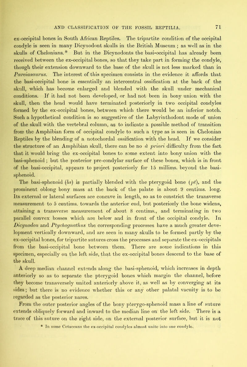 ex-occipital bones in South African Reptiles. The tripartite condition of the occipital condyle is seen in many Dicynodont skulls in the British Museum ; as well as in the skulls of Chelonians. * But in the Dicynodonts the basi-occipital has already been received between the ex-occipital bones, so that they take part in forming the condyle, though their extension downward to the base of the skull is not less marked than in Pareiasaurus. The interest of this specimen consists in the evidence it affords that the basi-occipital bone is essentially an intercentral ossification at the back of the skull, which has become enlarged and blended with the skull under mechanical conditions. If it had not been developed, or had not been in bony union with the skull, then the head would have terminated posteriorly in two occipital condyles formed by the ex-occipital bones, between which there would be an inferior notch. Such a hypothetical condition is so suggestive of the Labyrinthodont mode of union of the skull with the vertebral column, as to indicate a possible method of transition from the Amphibian form of occipital condyle to such a type as is seen in Chelonian Reptiles by the blending of a notochordal ossification with the head. If we consider the structure of an Amphibian skull, there can be no a priori difficulty from the fact that it would bring the ex-occipital bones to some extent into bony union with the basi-sphenoid ; but the posterior pre-condylar surface of these bones, which is in front of the basi-occipital, appears to project posteriorly for 15 millims. beyond the basi- sphenoid. The basi-sphenoid (bs) is partially blended with the pterygoid bone (pt), and the prominent oblong bony mass at the back of the palate is about 9 centims. long. Its external or lateral surfaces a.re concave in length, so as to constrict the transverse measurement to 5 centims. towards the anterior end, but posteriorly the bone widens, attaining a transverse measurement of about 8 centims., and terminating in two parallel convex bosses which are below and in front of the occipital condyle. In Dicynodon and Ptychognatlius the corresponding processes have a much greater deve- lopment vertically downward, and are seen in many skulls to be formed partly by the ex-occipital bones, for tripartite sutures cross the processes and separate the ex-occipitals from the basi-occipital bone between them. There are some indications in this specimen, especially on the left side, that the ex-occipital bones descend to the base of the skull. A deep median channel extends along the basi-sphenoid, which increases in depth anteriorly so as to separate the pterygoid bones which margin the channel, before they become transversely united anteriorly above it, as well as by converging at its sides; but there is no evidence whether this or any other palatal vacuity is to be regarded as the posterior nares. From the outer posterior angles of the bony pterygo-sphenoid mass a line of suture extends obliquely forward and inward to the median line on the left side. There is a trace of this suture on the right side, on the external posterior surface, but it is not * In some Cetaceans the ex-occipital condyles almost unite into one condyle.