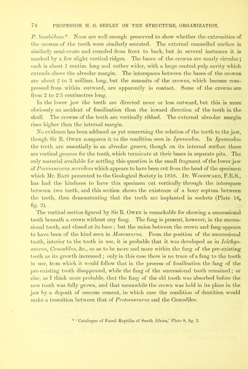 P. bombidens* None are well enough preserved to show whether the extremities of the crowns of the teeth were similarly serrated. The external enamelled surface is similarly semi-ovate and rounded from front to back, but in several instances it is marked by a few slight vertical ridges. The bases of the crowns are nearly circular; each is about 1 centim. long and rather wider, with a large central pulp cavity which extends above the alveolar margin. The interspaces between the bases of the crowns are about 2 to 3 millims. long, but the summits of the crowns, which become com- pressed from within outward, are apparently in contact. Some of the crowns are from 2 to 2 '5 centimetres long. In the lower jaw the teeth are directed more or less outward, but this is more obviously an accident of fossilisation than the inward direction of the teeth in the skull. The crowns of the teeth are vertically ribbed. The external alveolar margin rises higher than the internal margin. No evidence has been adduced as yet concerning the relation of the teeth to the jaw, though Sir It. Owen compares it to the condition seen in Iguanodon. In Iguanodon the teeth are essentially in an alveolar groove, though on its internal surface there are vertical grooves for the teeth, which terminate at their bases in separate pits. The only material available for settling this question is the small fragment of the lower jaw of Pareiasaurus serridens which appears to have been cut from the head of the specimen which Mr. Bain presented to the Geological Society in 1838. Dr. Woodward, F.B.S., has had the kindness to have this specimen cut vertically through the interspace between two teeth, and this section shows the existence of a bony septum between the teeth, thus demonstrating that the teeth are implanted in sockets (Plate 16, %• 2)- The vertical section figured by Sir B, Owen is remarkable for showing a successional tooth beneath a crown without any fang. The fang is present, however, in the succes- sional tooth, and closed at its base ; but the union between the crown and fang appears to have been of the kind seen in Mosasaurus. From the position of the successional tooth, interior to the tooth in use, it is probable that it was developed as in Ichthyo- saurus, Crocodilus, &c., so as to be more and more within the fang of the pre-existing tooth as its growth increased ; only in this case there is no trace of a fang to the tooth in use, from which it would follow that in the process of fossilisation the fang of the pre-existing tooth disappeared, while the fang of the successional tooth remained; or else, as I think more probable, that the fang of the old tooth was absorbed before the new tooth was fully grown, and that meanwhile the crown was held in its place in the jaw by a deposit of osseous cement, in which case the condition of dentition would make a transition between that of Protorosaurus and the Crocodiles. * ‘ Catalogue of Fossil Reptilia of South Africa,’ Plate 8, fig. 3.