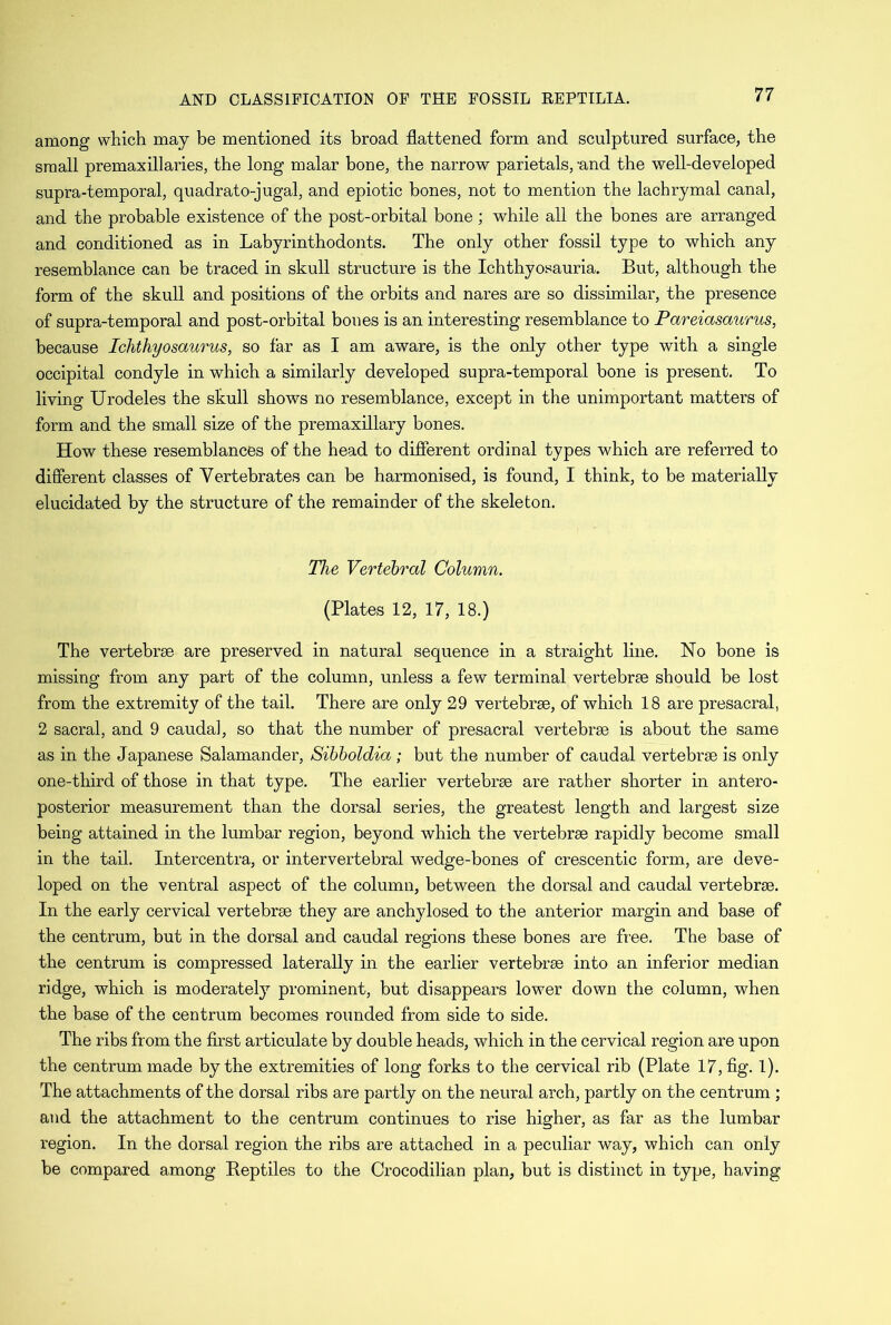 among which may be mentioned its broad flattened form and sculptured surface, the small premaxillaries, the long malar bone, the narrow parietals, -and the well-developed supra-temporal, quadrato-jugal, and epiotic bones, not to mention the lachrymal canal, and the probable existence of the post-orbital bone ; while all the bones are arranged and conditioned as in Labyrinthodonts. The only other fossil type to which any resemblance can be traced in skull structure is the Ichthyosauria. But, although the form of the skull and positions of the orbits and nares are so dissimilar, the presence of supra-temporal and post-orbital bones is an interesting resemblance to Pareiasaurus, because Ichthyosaurus, so far as I am aware, is the only other type with a single occipital condyle in which a similarly developed supra-temporal bone is present. To living Urodeles the skull shows no resemblance, except in the unimportant matters of form and the small size of the premaxillary bones. How these resemblances of the head to different ordinal types which are referred to different classes of Vertebrates can be harmonised, is found, I think, to be materially elucidated by the structure of the remainder of the skeleton. The Vertebral Column. (Plates 12, 17, 18.) The vertebrae are preserved in natural sequence in a straight line. No bone is missing from any part of the column, unless a few terminal vertebrae should be lost from the extremity of the tail. There are only 29 vertebrae, of which 18 are presacral, 2 sacral, and 9 caudal, so that the number of presacral vertebrae is about the same as in the Japanese Salamander, Sibboldia ; but the number of caudal vertebrae is only one-third of those in that type. The earlier vertebrae are rather shorter in antero- posterior measurement than the dorsal series, the greatest length and largest size being attained in the lumbar region, beyond which the vertebrae rapidly become small in the tail. Intercentra, or intervertebral wedge-bones of crescentic form, are deve- loped on the ventral aspect of the column, between the dorsal and caudal vertebrae. In the early cervical vertebrae they are anchylosed to the anterior margin and base of the centrum, but in the dorsal and caudal regions these bones are free. The base of the centrum is compressed laterally in the earlier vertebrae into an inferior median ridge, which is moderately prominent, but disappears lower down the column, when the base of the centrum becomes rounded from side to side. The ribs from the first articulate by double heads, which in the cervical region are upon the centrum made by the extremities of long forks to the cervical rib (Plate 17, fig. 1). The attachments of the dorsal ribs are partly on the neural arch, partly on the centrum ; and the attachment to the centrum continues to rise higher, as far as the lumbar region. In the dorsal region the ribs are attached in a peculiar way, which can only be compared among Reptiles to the Crocodilian plan, but is distinct in type, having