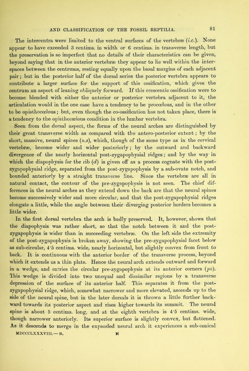 The intercentra were limited, to the ventral surfaces of the vertebrae (i.c.). None appear to have exceeded 3 centims. in width or 6 centims. in transverse length, but the preservation is so imperfect that no details of their characteristics can be given, beyond saying that in the anterior vertebrae they appear to lie well within the inter- spaces between the centrums, resting equally upon the basal margins of each adjacent pair; but in the posterior half of the dorsal series the posterior vertebra appears to contribute a larger surface for the support of this ossification, which gives the centrum an aspect of leaning obliquely forward. If this crescentic ossification were to become blended with either the anterior or posterior vertebra adjacent to it, the articulation would in the one case have a tendency to be proccelous, and in the other to be opisthocoelous; but, even though the co-ossification has not taken place, there is a tendency to the opisthocoelous condition in the lumbar vertebra. Seen from the dorsal aspect, the forms of the neural arches are distinguished by their great transverse width as compared with the antero-posterior extent; by the short, massive, neural spines (n.s), which, though of the same type as in the cervical vertebrae, become wider and wider posteriorly; by the outward and backward divergence of the nearly horizontal post-zygapophysial ridges; and by the way in which the diapophysis for the rib (d) is given off as a process cognate with the post- zygapophysial ridge, separated from the post-zygapophysis by a sub-ovate notch, and bounded anteriorly by a straight transverse line. Since the vertebrae are all in natural contact, the contour of the pre-zygapophysis is not seen. The chief dif- ferences in the neural arches as they extend down the back are that the neural spines become successively wider and more circular, and that the post-zygapophysial ridges elongate a little, while the angle between their diverging posterior borders becomes a little wider. In the first dorsal vertebra the arch is badly preserved. It, however, shows that the diapophysis was rather short, so that the notch between it and the post- zygapophysis is wider than in succeeding vertebrae. On the left side the extremity of the post-zygapophysis is broken away, showing the pre-zygapophysial facet below as sub-circular, 4'5 centims. wide, nearly horizontal, but slightly convex from front to back. It is continuous with the anterior bolder of the transverse process, beyond which it extends as a thin plate. Hence the neural arch extends outward and forward in a wedge, and carries the circular pre-zygapophysis at its anterior corners (pz). This wedge is divided into two unequal and dissimilar regions by a transverse depression of the surface of its anterior half. This separates it from the post- zygapophysial ridge, which, somewhat narrower and more elevated, ascends up to the side of the neural spine, but in the later dorsals it is thrown a little further back- ward towards its posterior aspect and rises higher towards its summit. The neural spine is about 5 centims. long, and at the eighth vertebra is 45 centims. wide, though narrower anteriorly. Its superior surface is slightly convex, but flattened. As it descends to merge in the expanded neural arch it experiences a sub-conical MDCCCLXXXVIII. — B. M