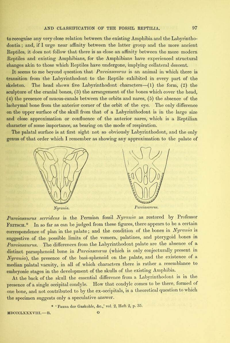 to recognise any very close relation between the existing Amphibia and the Labyrintho- dontia; and, if I urge near affinity between the latter group and the more ancient Reptiles, it does not follow that there is as close an affinity between the more modern Reptiles and existing Amphibians, for the Amphibians have experienced structural changes akin to those wffiich Reptiles have undergone, implying collateral descent. It seems to me beyond question that Pareiasaurus is an animal in which there is transition from the Labyrinthodont to the Reptile exhibited in every part of the skeleton. The head shows five Labyrinthodont characters—(l) the form, (2) the sculpture of the cranial bones, (3) the arrangement of the bones which cover the head, (4) the presence of mucus-canals between the orbits and nares, (5) the absence of the lachrymal bone from the anterior corner of the orbit of the eye. The only difference on the upper surface of the skull from that of a Labyrinthodont is in the large size and close approximation or confluence of the anterior nares, which is a Reptilian character of some importance, as bearing on the mode of respiration. The palatal surface is at first sight not so obviously Labyrinthodont, and the only genus of that order which I remember as showing any approximation to the palate of Pareiasaurus serridens is the Permian fossil Nyrania as restored by Professor Fritsch.* In so far as can be judged from these figures, there appears to be a certain correspondence of plan in the palate; and the condition of the bones in Nyrania is suggestive of the possible limits of the vomera, palatines, and pterygoid bones in Pareiasaurus. The differences from the Laoyrinthodont palate are the absence of a distinct parasphenoid bone in Pareiasaurus (which is only conjecturally present in Nyrania'), the presence of the basi-sphenoid on the palate, and the existence of a median palatal vacuity, in all of which characters there is rather a resemblance to embryonic stages in the development of the skulls of the existing Amphibia. At the back of the skull the essential difference from a Labyrinthodont is in the presence of a single occipital condyle. How that condyle comes to be there, formed of one bone, and not contributed to by the ex-occipitals, is a theoretical question to which the specimen suggests only a speculative answer. * ‘ Fauna der Gaskohle, &c.,’ vol. 2, Heft 2, p. 35. MDCCCLXXX VIII. —B. O