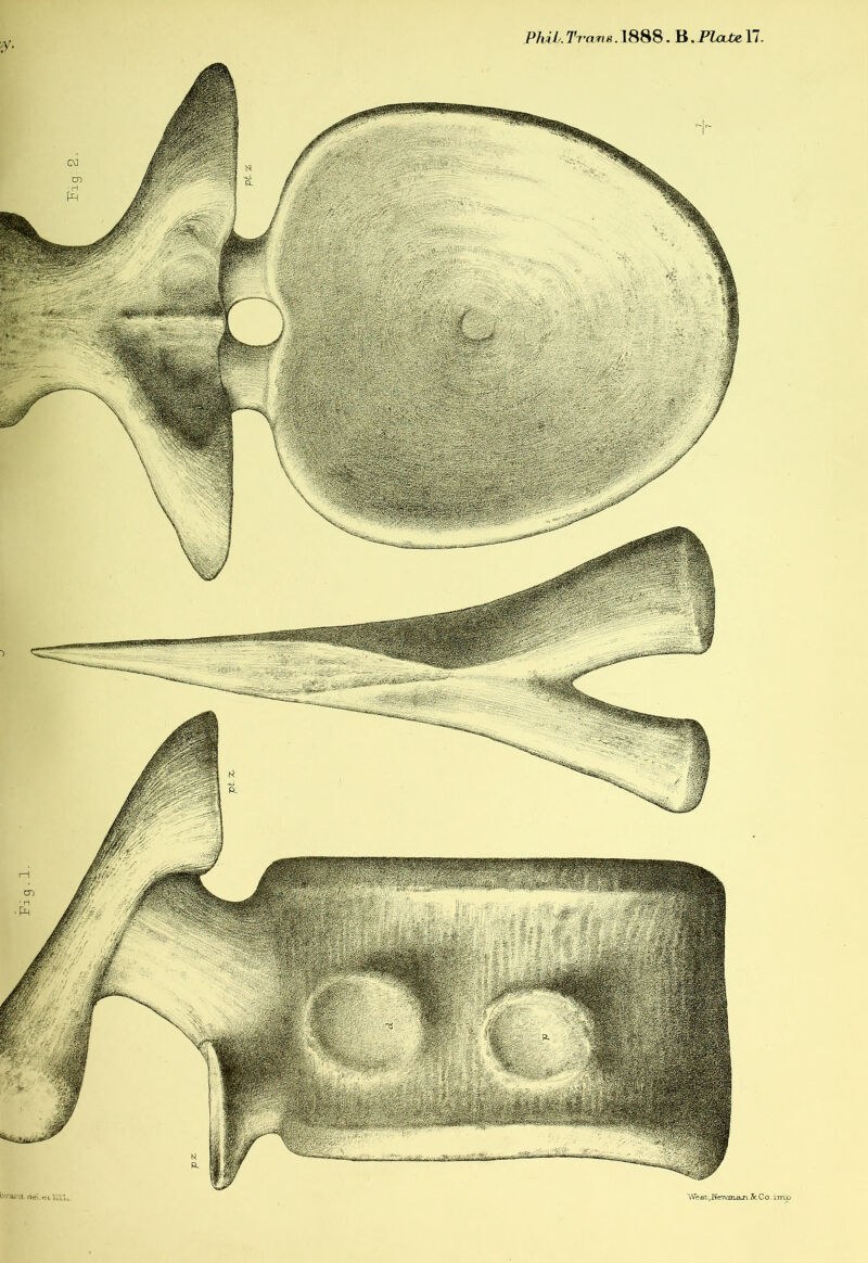 !HBSSN> We a b, Ne wmcLn 2fc Co. imp