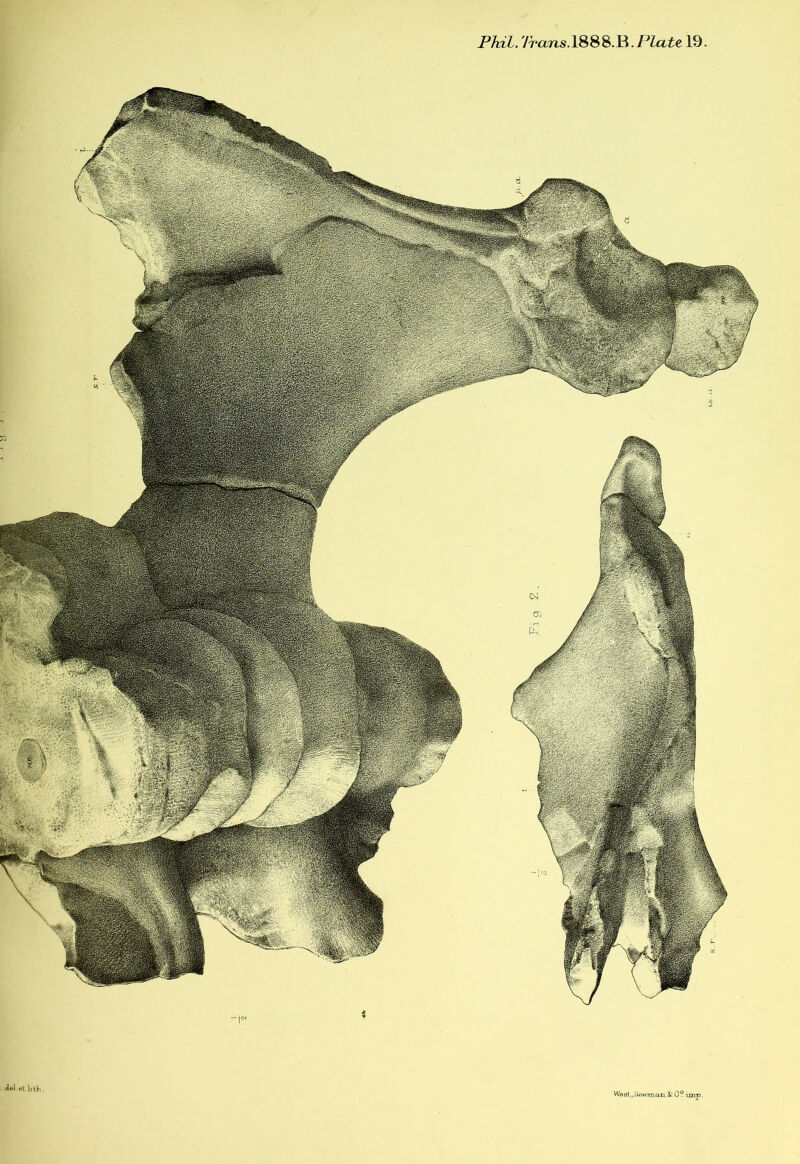 <1*1 «t. Ji t.Vi. WeBt,Newma,iL&rO? imp