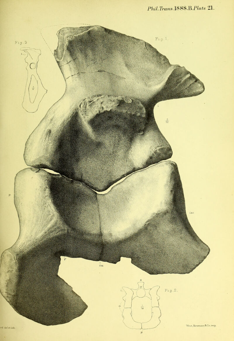 Phil-TransASSS.B.Plate 21