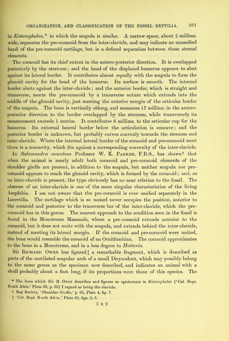 in Kistecephalus,* in which the scapula is similar. A narrow space, about 2 millims. wide, separates the pre-coracoid from the inter-clavicle, and may indicate an unossified band of the pre-coracoid cartilage, but is a defined separation between these sternal elements. The coracoid has its chief extent in the antero-posterior direction. It is overlapped posteriorly by the sternum; and the head of the displaced humerus appears to abut against its lateral border. It contributes almost equally with the scapula to form the glenoid cavity for the head of the humerus. Its surface is smooth. The internal border abuts against the inter-clavicle; and the anterior border, which is straight and transverse, meets the pre-coracoid by a transverse suture which extends into the middle of the glenoid cavity, just meeting the anterior margin of the articular border of the scapula. The bone is vertically oblong, and measures 17 millims. in the antero- posterior direction to the border overlapped by the sternum, while transversely its measurement exceeds 1 centim. It contributes 6 millims. to the articular cup for the humerus. Its external lateral border below the articulation is concave; and the posterior border is unknown, but probably curves convexly towards the sternum and inter-clavicle. Where the internal lateral border of the coracoid and pre-coracoid meet there is a concavity, which fits against a corresponding convexity of the inter-clavicle. In Salamandra maculosa Professor W. K. Parker, F.R.S., has shownt that when the animal is nearly adult both coracoid and pre-coracoid elements of the shoulder girdle are present, in addition to the scapula, but neither scapula nor pre- coracoid appears to reach the glenoid cavity, which is formed by the coracoid; and, as no inter-clavicle is present, the type obviously has no near relation to the fossil. The absence of an inter-clavicle is one of the more singular characteristics of the living Amphibia. I am not aware that the pre-coracoid is ever ossified separately in the Lacertilia. The cartilage which is so named never occupies the position, anterior to the coracoid and posterior to the transverse bar of the inter-clavicle, which the pre- coracoid has in this genus. The nearest approach to the condition seen in the fossil is found in the Monotreme Mammals, where a pre-coracoid extends anterior to the coracoid, but it does not unite with the scapula, and extends behind the inter-clavicle, instead of meeting its lateral margin. If the coracoid and pre-coracoid were united, the bone would resemble the coracoid of an Ornithischian. The coracoid approximates to the bone in a Monotreme, and in a less degree to Hatteria. Sir Richard Owen has figured J a remarkable fragment, which is described as parts of the mutilated scapular arch of a small Dicynodont, which may possibly belong to the same genus as the specimen now described, and indicates an animal with a skull probably about a foot long, if its proportions were those of this species. The * The bone which Sir R. Owen describes and figures as episternum in Kistecephalus (‘ Cat. Rept. South Afric.’ Plate 69, p. 63) I regard as being the clavicle. t Ray Society, ‘ Shoulder Girdle,’ p. 65, Plate 4, fig. 7. t ‘ Cat. Rept. South Afric.,’ Plate 69, figs. 5, 6. 3 R 2