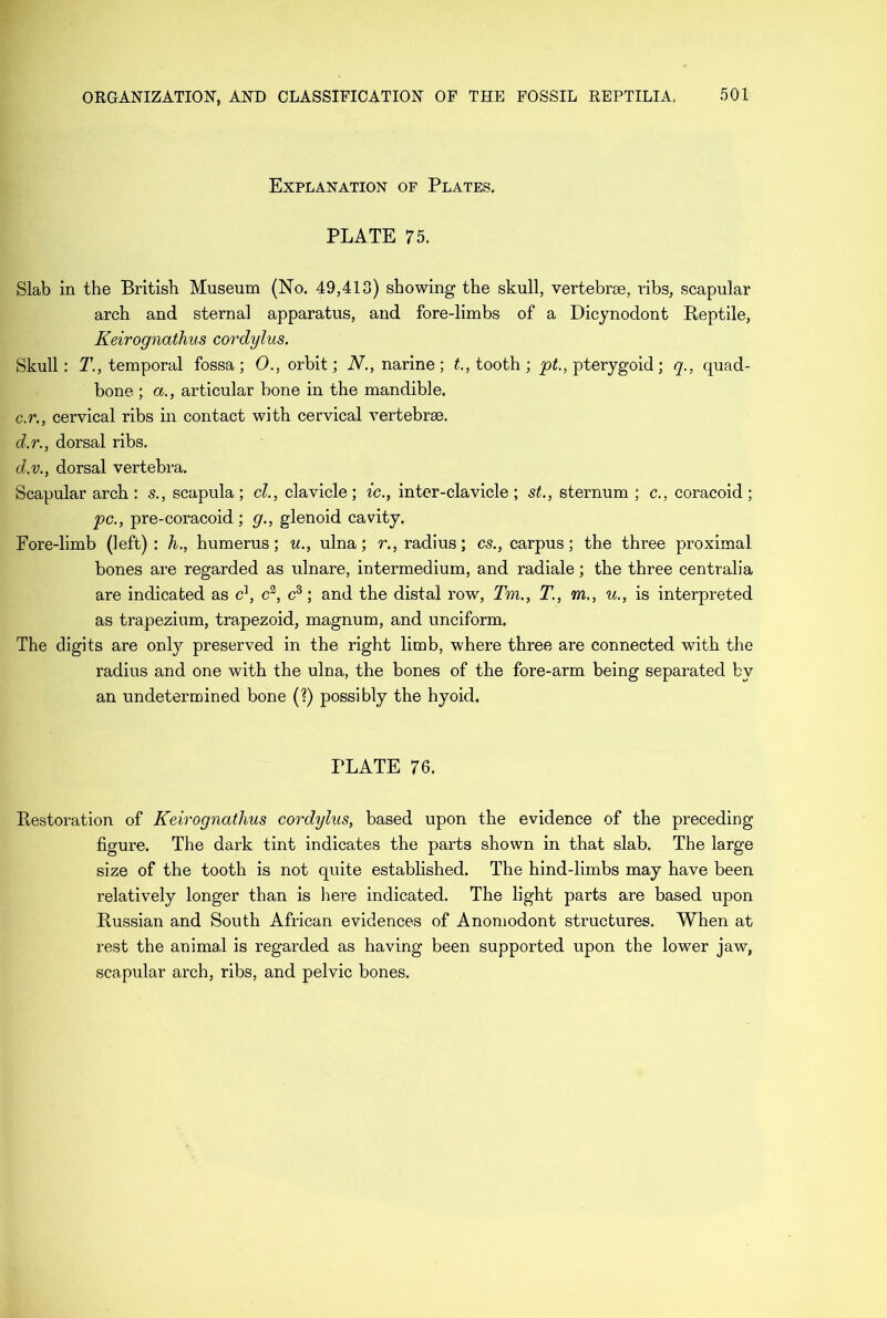 Explanation of Plates. PLATE 75. Slab in the British Museum (No. 49,413) showing the skull, vertebrae, ribs, scapular arch and sternal apparatus, and fore-limbs of a Dicynodont Reptile, Keirognathus cordylus. Skull: T., temporal fossa; O., orbit; N., narine; t., tooth ; pt., pterygoid; q., quad- bone ; a., articular bone in the mandible. c. r., cervical ribs in contact with cervical vertebrae. d. r., dorsal ribs. d.v., dorsal vertebra. Scapular arch: s., scapula; cl., clavicle; ic., inter-clavicle; st., sternum; c., coracoid; pc., pre - coracoid ; g., glenoid cavity. Fore-limb (left): h., humerus; u., ulna; r., radius; cs., carpus; the three proximal bones are regarded as ulnare, intermedium, and radiale; the three centralia are indicated as c1, c2, c3; and the distal row, Tm., T., m., u., is interpreted as trapezium, trapezoid, magnum, and unciform. The digits are only preserved in the right limb, where three are connected with the radius and one with the ulna, the bones of the fore-arm being separated by an undetermined bone (?) possibly the hyoid. PLATE 76. Restoration of Keirognathus cordylus, based upon the evidence of the preceding figure. The dark tint indicates the parts shown in that slab. The large size of the tooth is not quite established. The hind-limbs may have been relatively longer than is here indicated. The light parts are based upon Russian and South African evidences of Anomodont structures. When at rest the animal is regarded as having been supported upon the lower jaw, scapular arch, ribs, and pelvic bones.