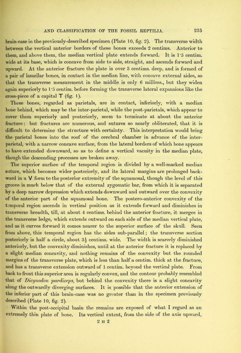 brain-case in the previously-described specimen (Plate 10, fig. 2). The transverse width between the vertical anterior borders of these bones exceeds 2 centims. Anterior to them, and above them, the median vertical plate extends forward. It is 1’5 centim. wide at its base, which is concave from side to side, straight, and ascends forward and upAvard. At the anterior fracture the plate is over 3 centims. deep, and is formed of a pair of lamellar bones, in contact in the median line, with concave external sides, so that the transverse measurement in the middle is only 6 millims., but they widen again superiorly to 1 '5 centim, before forming the transverse lateral expansions like the cross-piece of a capital T (fig. l). These bones, regarded as parietals, are in contact, inferiorly, with a median bone behind, which may be the inter-parietal, while the post-parietals, which appear to cover them superiorly and posteriorly, seem to terminate at about the anterior fracture; but fractures are numerous, and sutures so nearly obliterated, that it is diflBcult to determine the structure with certainty. This interpretation would bring the parietal bones into the roof of the cerebral chamber in advance of the inter- parietal, with a narrow concave surface, from the lateral borders of which bone appears to have extended downward, so as to define a vertical vacuity in the median plate, though the descending processes are broken away. The superior surface of the temporal region is divided by a well-marked median suture, which becomes wider posteriorly, and its lateral margins are prolonged back- ward in a V form to the posterior extremity of the squamosal, though the level of this groove is much below that of the external zygomatic bar, from which it is separated by a deep narrow depression Avhich extends downward and outward over the convexity of the anterior part of the squamosal bone. The postero-anterior convexity of the tsmporal region ascends in vertical position as it extends forward and diminishes in transverse breadth, till, at about 4 centims. behind the anterior fracture, it merges in the transverse ledge, which extends outward on each side of the median vertical plate, and as it curves forward it comes nearer to the superior surface of the skull. Seen from above, this temporal region has the sides sub-parallel; the transverse section posteriorly is half a circle, about centims. wide. The width is scarcely diminished anteriorly, but the convexity diminishes, until at the anterior fracture it is replaced by a slight median concavity, and nothing remains of the convexity but the rounded margins of the transverse plate, which is less than half a centim. thick at the fracture, and has a trausverse extension outward of 1 centim. beyond the vertical plate. From back to front this superior area is regularly convex, and the contour probably resembled that of Dicynodon pardiceps, but behind the convexity there is a slight concavity along the outwardly diverging surfaces. It is possible that the anterior extension of the inferior part of this brain-case was no greater than in the specimen previously described (Plate 10, fig. 2). Within the post-occipital basin the remains are exposed of what I regard as an extremely thin plate of bone. Its vertical extent, from the side of the axis upward, 2 H 2