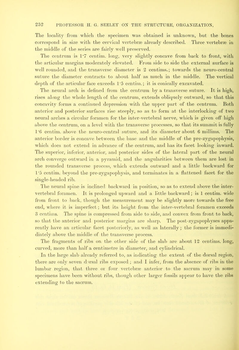 The locality from which the specimen was obtained is unknown, but the bones correspond in size with the cervical vertebrm already described. I’liree vertebrae in the middle of the series are fairly well preserved. The centrum is 1*7 centim. long, very slightly concave from back to front, with the articular margins moderately elevated. From side to side the external surface is well rounded, and the transverse diameter is 2 centims.; towards the neuro-central suture the diameter contracts to about half as much in the middle. The vertical depth of the articular face exceeds 1*5 centim.; it is conically excavated. The neural arch is defined from the centrum by a transverse suture. It is high, rises along the whole length of the centrum, extends obliquely outward, so that this concavity forms a continued depression with the upper part of the centrum. Both anterior and posterior surfaces rise steeply, so as to form at the interlocking of two neural arches a circular foramen for the inter-vertebral nerve, which is given off high above the centrum, on a level with the transverse processes, so that its summit is fully 1*6 centim. above the neuro-central suture, and its diameter about 6 millims. The anterior border is concave between the base and the middle of the pre-zygapophysis, which does not extend in advance of the centrum, and has its facet looking inward. The superior, inferior, anterior, and posterior sides of the lateral part of the neural arch converge outward in a pyramid, and the angularities between them are lost in the rounded transverse process, which extends outward and a little backward for 1*5 centim. beyond the pre-zygapophysis, and terminates in a flattened facet for the single-headed rib. The neural spine is inclined backward in position, so as to extend above the inter- vertebral foramen. It is prolonged ujiward and a little backward; is 1 centim. wide from front to back, though the measurement may be slightly more towards the free end, where it is imperfect; but its height from the inter-vertebral foramen exceeds 3 centims. The spine is compressed from side to side, and convex from front to back, so that the anterior and posterior margins are sharp. The post-zygapophyses appa- rently have an articular facet posteriorly, as well as laterally; the former is immedi- diately above the middle of the transverse process. The fragments of ribs on the other side of the slab are about 12 centims. long, curved, more than half a centimetre in diameter, and cylindrical. In the large slab already referred to, as indicating the extent of the dorsal region, there are only seven dorsal ribs exposed ; and I infer, from the absence of ribs in the lumbar region, that three or four vertebrae anterior to the sacrum may in some specimens have been without ribs, though other larger fossils appear to have the ribs extending to the sacrum.