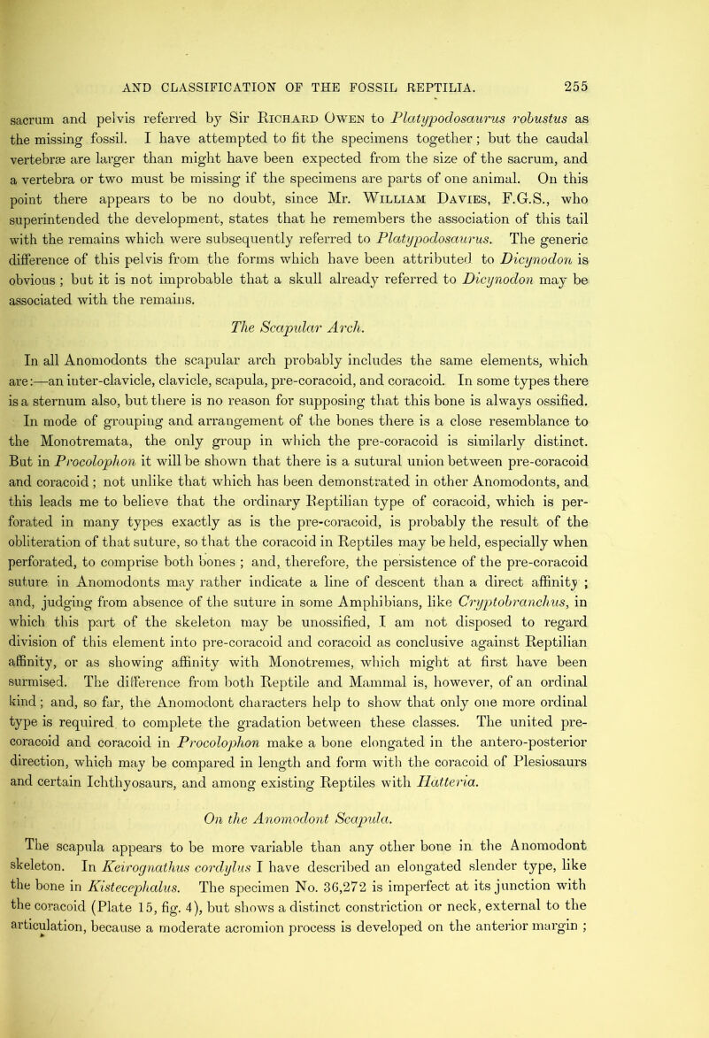sacrum and pelvis referred by Sir Richard Owen to Platypodosaurus rohustus as the missing fossil. I have attempted to fit the specimens together; but the caudal vertebras are larger than might have been expected from the size of the sacrum, and a vertebra or two must be missing if the specimens are parts of one animal. On this point there appears to be no doubt, since Mr. William Davies, F.G.S., who superintended the development, states that he remembers the association of this tail with the remains which were subsequently referred to Platypodosaurus. The generic difference of this pelvis from the forms which have been attributed to Dicynodon is obvious ; but it is not improbable that a skull already referred to Dicynodon may be associated with the remains. The Scaptdar Arch. In all Anomodonts the scapular ai’ch probably includes the same elements, which are:—an inter-clavicle, clavicle, scapula, pre-coracoid, and coracoid. In some types there is a sternum also, but there is no reason for supposing that this bone is always ossified. In mode of grouping and arrangement of the bones there is a close resemblance to the Monotremata, the only group in which the pre-coracoid is similarly distinct. But in Procolophon it will be shown that there is a sutural union between pre-coracoid and coracoid; not unlike that which has been demonstrated in other Anomodonts, and this leads me to believe that the ordinary Reptilian type of coracoid, which is per- forated in many types exactly as is the pre-coracoid, is probably the result of the obliteration of that suture, so that the coracoid in Reptiles may be held, especially when perforated, to comprise both bones ; and, therefore, the persistence of the pre-coracoid suture in Anomodonts may rather indicate a line of descent than a direct affinitj/ ; and, judging from absence of the suture in some Amphibians, like Cryptohranchus, in which this part of the skeleton may be unossified, I am not disposed to regard division of this element into pre-coracoid and coracoid as conclusive against Reptilian affinity, or as showing affinity with Monotreraes, which might at first have been surmised. The difference from both Reptile and Mammal is, however, of an ordinal kind; and, so far, the Anomodont characters help to show that only one more ordinal type is required to complete the gradation between these classes. The united pre- coracoid and coracoid in Procolophon make a bone elongated in the antero-posterior direction, which may be compared in length and form with the coracoid of Plesiosaurs and certain Ichthyosaurs, and among existing Reptiles with Ilatteria. On the Anomodont Scapula. The scapula appears to be more variable than any other bone in the Anomodont skeleton. In Keirognathus cordylus I have described an elongated slender type, like the bone in Kistecephalus. The specimen No. 36,272 is imperfect at its junction with the coracoid (Plate 15, fig. 4), but shows a distinct constriction or neck, external to the articulation, because a moderate acromion process is developed on the anterior margin ;