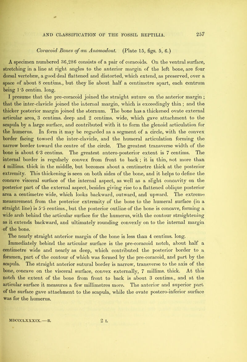 Coracoid Bones of an Anomodont. (Plate 15, figs. 5, 6.) A specimen numbered 36,286 consists of a pair of coracoids. On the ventral surface, stretching in a line at right angles to the anterior margin of the left bone, are four dorsal vertebrae, a good deal flattened and distorted, which extend, as preserved, over a space of about 8 centims., but they lie about half a centimetre apart, each centrum being 1 '5 centim. long. I presume that the pre-coracoid joined the straight suture on the anterior margin ; that the inter-clavicle joined the internal margin, which is exceedingly thin; and the thicker posterior margin joined the sternum. The bone has a thickened ovate external articular area, 3 centims. deep and 2 centims. wide, which gave attachment to the scapula by a large surface, and contributed with it to form the glenoid articulation for the humerus. In form it may be regarded as a segment of a circle, with the convex border facing toward the inter-clavicle, and the humeral articulation forming the narrow border toward the centre of the circle. The greatest transverse width of the bone is about 6'3 centims. The greatest antero-posterior extent is 7 centims. The internal border is regularly convex from front to back ; it is thin, not more than 4 millims. thick in the middle, but becomes about a centimetre thick at the posterior extremity. This thickening is seen on both sides of the bone, and it helps to define the concave visceral surface of the internal aspect, as well as a slight concavity on the posterior part of the external aspect, besides giving rise to a flattened oblique posterior area a centimetre wide, which looks backward, outward, and upward. The extreme measurement from the posterior extremity of the bone to the humeral surface (in a straight line) is 5'5 centims., but the posterior outline of the bone is concave, forming a wide arch behind the articular surface for the humerus, with the contour straightening as it extends backward, and ultimately rounding convexly on to the internal margin of the bone. The nearly straight anterior margin of the bone is less than 4 centims. long. Immediately behind the articular surface is the pre-coracoid notch, about half a centimetre wide and nearly as deep, which contributed the posterior border to a foramen, part of the contour of which was formed by the pre-coracoid, and part by the scapula. The straight anterior sutural border is narrow, transverse to the axis of the bone, concave on the visceral surface, convex externally, 7 millims. thick. At this notch the extent of the bone from front to back is about 3 centims., and at the articular surface it measures a few millimetres more. The anterior and superior part, of the surface gave attachment to the scapula, while the ovate postero-inferior surface was for the humerus. 2 L MDCCCLXXXIX. B.