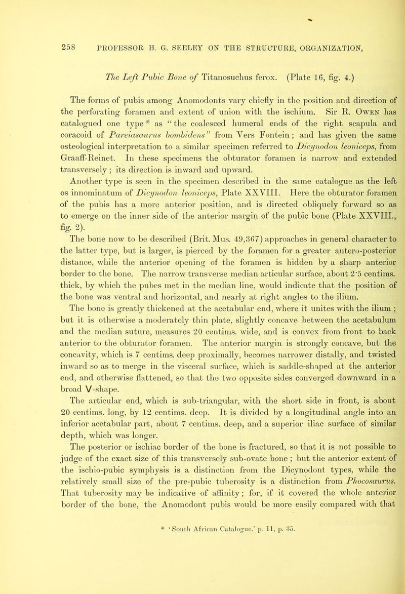 The Left Pubic Bone of Titanosuclius ferox. (Plate 16, fig. 4.) The forms of pubis among Anomodonts vary chiefly in the position and direction of the perforating foramen and extent of union with the ischium. Sir R. Owen has catalogued one type * as “ the coalesced humeral ends of the right scapula and coracoid of Pareiasaurus hombidens” from Vers Fontein; and has given the same osteological interpretation to a similar specimen referred to Dicynodon leoniceps, from Graaff-Reinet. In these specimens the obturator foramen is narrow and extended transversely ; its direction is inward and upward. Another type is seen in the specimen described in the same catalogue as the left os innominatum of Dicynodon leoniceps, Plate XXVIII. Here the obturator foramen of the pubis has a more anterior position, and is directed obliquely forward so as to emerge on the inner side of the anterior margin of the pubic bone (Plate XXVIII., fig. 2). The bone now to be described (Brit. Mus. 49,367) approaches in general character to the latter type, but is larger, is pierced by the foramen for a greater antero-posterior distance, while the anterior opening of the foramen is hidden by a sharp anterior border to the bone. The narrow transverse median articular surface, about 2‘5 centims. thick, by which the pubes met in the median line, would indicate that the position of the bone was ventral and horizontal, and nearly at right angles to the ilium. The bone is greatly thickened at the acetabular end, where it unites with the ilium ; but it is otherwise a moderately thin plate, slightly concave between the acetabulum and the median suture, measures 20 centims. wide, and is convex from front to back anterior to the obturator foramen. The anterior margin is strongly concave, but the concavity, which is 7 centims. deep proximally, becomes narrower distally, and twisted inward so as to merge in the visceral surface, which is saddle-shaped at the anterior end, and otherwise flattened, so that the two opposite sides converged downward in a broad V-shape. The articular end, which is sub-triangular, with the short side in front, is about 20 centims. long, by 12 centims. deep. It is divided by a longitudinal angle into an inferior acetabular part, about 7 centims. deep, and a superior iliac surface of similar depth, which was longer. The posterior or ischiac border of the bone is fractured, so that it is not possible to judge of the exact size of this transversely sub-ovate bone; but the anterior extent of the ischio-pubic symphysis is a distinction from the Hicynodont types, while the relatively small size of the pre-pubic tuberosity is a distinction from Phocosaurus. That tuberosity may be indicative of affinity; for, if it covered the whole anterior border of the bone, the Anomodont pubis would be more easily compared with that * ‘South African Catalogue,’ p. II, p. 35.
