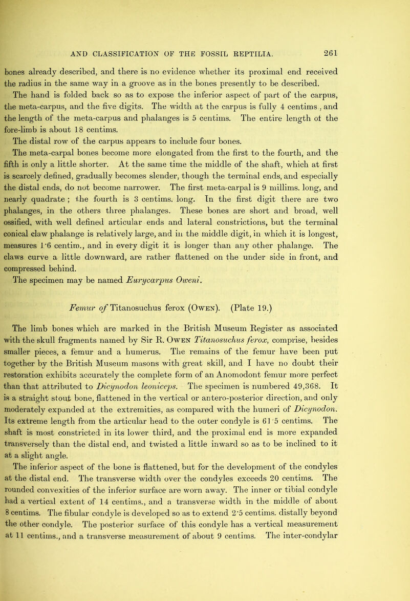 bones already described, and there is no evidence whether its proximal end received the radius in the same way in a groove as in the bones presentl}^ to be described. The hand is folded back so as to expose the inferior aspect of part of the carpus, the nieta-carpus, and the five digits. The width at the carpus is fully 4 centims., and the length of the meta-carpus and phalanges is 5 centims. The entire length oi the fore-limb is about 18 centims. The distal row of the carpus appears to include four bones. The meta-carpal bones become more elongated from the first to the fourth, and the fifth is only a little shorter. At the same time the middle of the shaft, which at first is scarcely defined, gradually becomes slender, though the terminal ends, and especially the distal ends, do not become narrower. The first meta-carpal is 9 millims. long, and nearly quadrate ; ihe fourth is 3 centims. long. In the first digit there are two phalanges, in the others tliree phalanges. These bones are short and broad, well ossified, with well defined articular ends and lateral constrictions, but the terminal conical claw phalange is relatively large, and in the middle digit, in which it is longest, measures I'6 centim., and in every digit it is longer than any other phalange. The claws curve a little downward, are rather flattened on the under side in front, and compressed behind. The specimen may be named Earycarpus Oweni. Femur o/ Titanosuchus ferox (Owen). (Plate 19.) The limb bones which are marked in the British Museum Register as associated with the skull fragments named by Sir R. Owen Titanosuchus ferox, comprise, besides smaller pieces, a femur and a humerus. The remains of the femur have been put together by the British Museum masons with great skill, and I have no doubt their restoration exhibits accurately the complete form of an Anomodont femur more perfect than that attributed to Dicynodon leoniceps. The specimen is numbered 49,368. It is a straight stout bone, flattened in the vertical or antero-posterior direction, and only moderately expanded at the extremities, as compared with the humeri of Dicynodon. Its extreme length from the articular head to the outer condyle is 61 5 centims. The shaft is most constricted in its lower third, and the proximal end is more expanded transversely than the distal end, and twisted a little inward so as to be inclined to it at a slight angle. The inferior aspect of the bone is flattened, but for the development of the condyles at the distal end. The transverse width over the condyles exceeds 20 centims. The rounded convexities of the inferior surface are worn away. The inner or tibial condyle had a vertical extent of 14 centims., and a transverse width in the middle of about 8 centims. The fibular condyle is developed so as to extend 2‘5 centims. distally beyond the other condyle. The posterior surface of this condyle has a vertical measurement at 11 centims., and a transverse measurement of about 9 centims. The inter-condylar