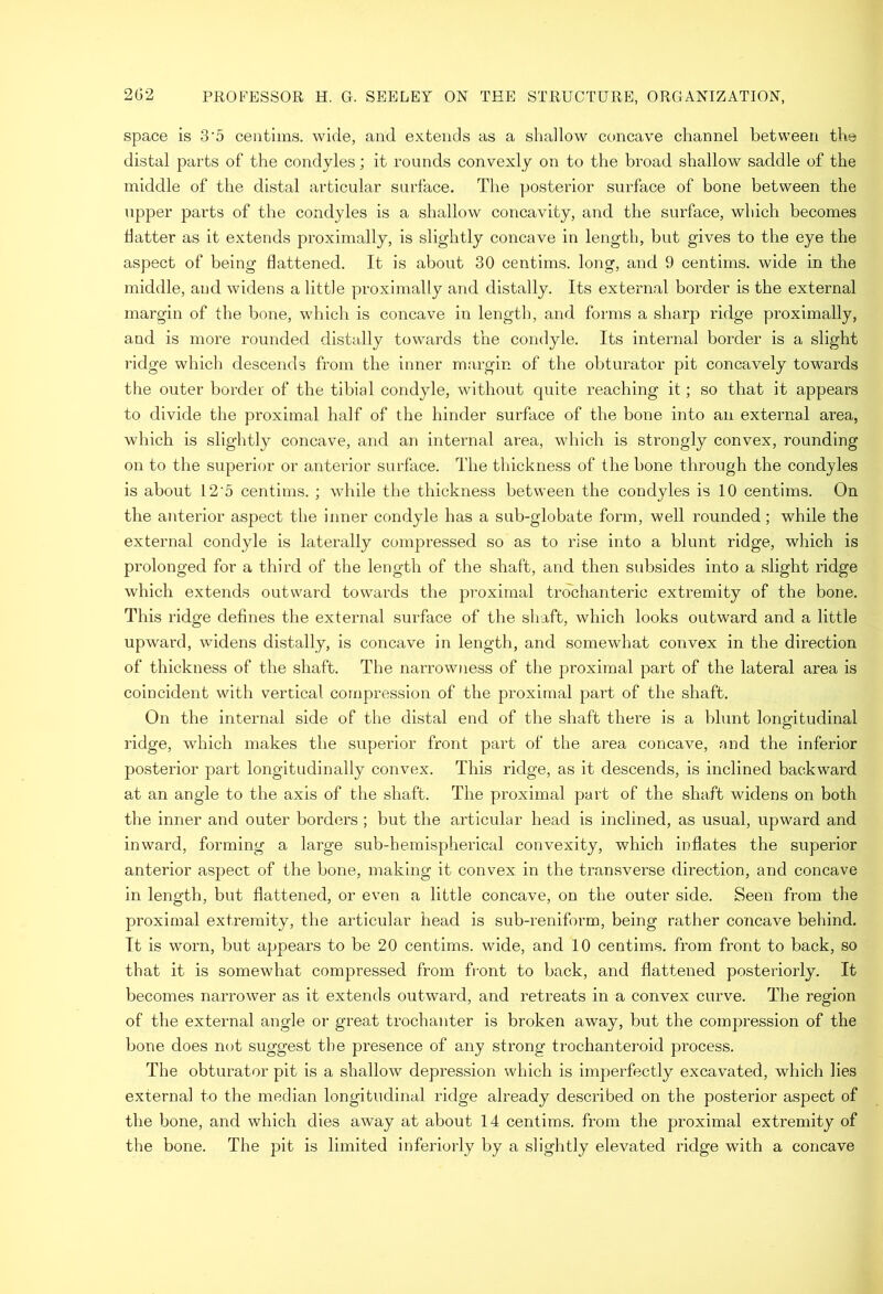 space is 3'5 ceiitims. wide, and extends as a shallow concave channel between the distal parts of the condyles; it rounds convexly on to the broad shallow saddle of the middle of the distal articular surface. The posterior surface of bone between the upper parts of the condyles is a shallow concavity, and the surface, which becomes flatter as it extends proximally, is slightly concave in length, but gives to the eye the aspect of being flattened. It is about 30 centims. long, and 9 centims. wide in the middle, aud widens a little proximally and distally. Its external border is the external margin of the bone, which is concave in length, and forms a sharp ridge proximally, and is more rounded distally towards the condyle. Its internal border is a slight ridge which descends from the inner margin of the obturator pit concavely tow^ards the outer border of the tibial condyle, without quite reaching it; so that it appears to divide the proximal half of the hinder surface of the bone into an external area, which is slightly concave, and an internal area, which is strongly convex, rounding on to the superior or anterior surface. The thickness of the bone through the condyles is about 12‘5 centims. ; while the thickness between the condyles is 10 centims. On the antei’ior aspect the inner condyle has a sub-globate form, well rounded; while the external condyle is laterally compressed so as to rise into a blunt ridge, which is prolonged for a third of the length of the shaft, and then subsides into a slight ridge which extends outward towards the proximal trochanteric extremity of the bone. This ridge defines the external surface of the shaft, which looks outward and a little upward, widens distally, is concave in length, and somewhat convex in the direction of thickness of the shaft. The narrow)less of the proximal part of the lateral area is coincident with vertical compression of the proximal part of the shaft. On the internal side of the distal end of the shaft there is a blunt longitudinal ridge, which makes the superior front part of the area concave, and the inferior posterior part longitudinally convex. This ridge, as it descends, is inclined backward at an angle to the axis of the shaft. The proximal part of the shaft widens on both the inner and outer borders ; but the articular head is inclined, as usual, upward and inward, forming a large sub-hemispherical convexity, which inflates the superior anterior aspect of the bone, making it convex in the transverse direction, and concave in length, but flattened, or even a little concave, on the outer side. Seen from the proximal extremity, the articular head is sub-reniform, being rather coiicave behind. It is worn, but appears to be 20 centims. wide, and 10 centims. from front to back, so that it is somewhat compressed from front to back, and flattened posteriorly. It becomes narrower as it extends outward, and retreats in a convex curve. The region of the external angle or great trochanter is broken away, but the compression of the bone does not suggest the presence of any strong trochanteroid process. The obturator pit is a shallow depression which is imperfectly excavated, which lies external to the median longitudinal ridge already described on the posterior aspect of the bone, and which dies away at about 14 centims. from the proximal extremity of the bone. The pit is limited inferiorly by a slightly elevated ridge with a concave