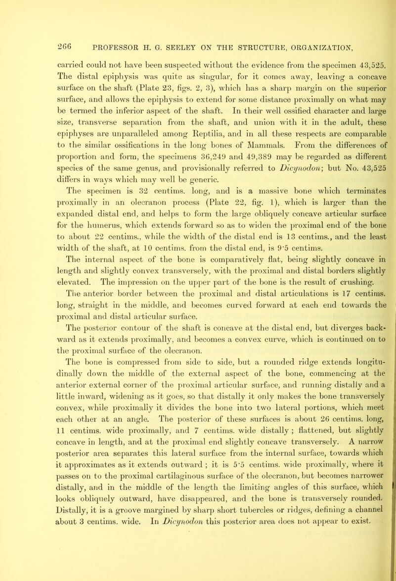 carried could not have been suspected without the evidence from the specimen 43,525. The distal epiphysis was quite as singular, for it comes away, leaving a concave surface on the shaft (Plate 23, figs. 2, 3), which has a sharp margin on the superior surface, and allows the epiphysis to extend for some distance proximally on what may be termed the inferior aspect of the shaft. In their well ossified character and large size, transverse separation from the shaft, and union with it in the adult, these epiphyses are unparalleled among Reptilia, and in all these respects are comparable to the similar ossifications in the long bones of Mammals. From the differences of proportion and form, the specimens 36,249 and 49,389 may be regarded as different species of the same genus, and provisionally referred to Dicynodon\ but No. 43,525 differs in ways which may well be generic. The specimen is 32 centims. long, and is a massive bone which terminates proximally in an olecranon process (Plate 22, fig. 1), which is larger than the expanded distal end, and helps to form the large obliquely concave articular surface for the humerus, which extends forward so as to widen the proximal end of the bone to about 22 centims., wdiile the width of the distal end is 13 centims., and the least width of the shaft, at 10 centims. from the distal end, is 9‘5 centims. The internal aspect of the bone is comparatively flat, being slightly concave in length and slightly convex transversely, with the proximal and distal borders slightly elevated. The impression on the upper part of the bone is the result of crushing. The anterior border between the proximal and distal articulations is 17 centims. long, straight in the middle, and becomes curved forward at each end towards the proximal and distal articular surface. The posterior contour of the shaft is concave at the distal end, but diverges back- ward as it extends proximally, and becomes a convex curve, which is continued on to the proximal surface of the olecranon. The bone is compressed from side to side, but a rounded ridge extends longitu- dinally down the middle of the external aspect of the bone, commencing at the | anterior external corner of the proximal articular surface, and running distaliy and a |1 little inward, widening as it goes, so that distaliy it only makes the bone transversely j] convex, while proximally it divides the bone into two lateral portions, which meet |j each other at an angle. The posterior of these surfaces is about 26 centims. long, || 11 centims. wide proximally, and 7 centims. wide distaliy; flattened, but slightly concave in length, and at the proximal end slightly concave transversely. A narrow posterior area separates this lateral surface from the internal surface, towards which -j it approximates as it extends outward ; it is 5'5 centims. wide proximally, where it ji passes on to the proximal cartilaginous surface of the olecranon, but becomes narrower ;3 distaliy, and in the middle of the length the limiting angles of this surface, which | looks obliquely outward, have disappeared, and the bone is transversely rounded, i Distaliy, it is a groove margined by sharp short tubercles or ridges, defining a channel about 3 centims. wide. In Dicynodon this posterior area does not appear to exist.