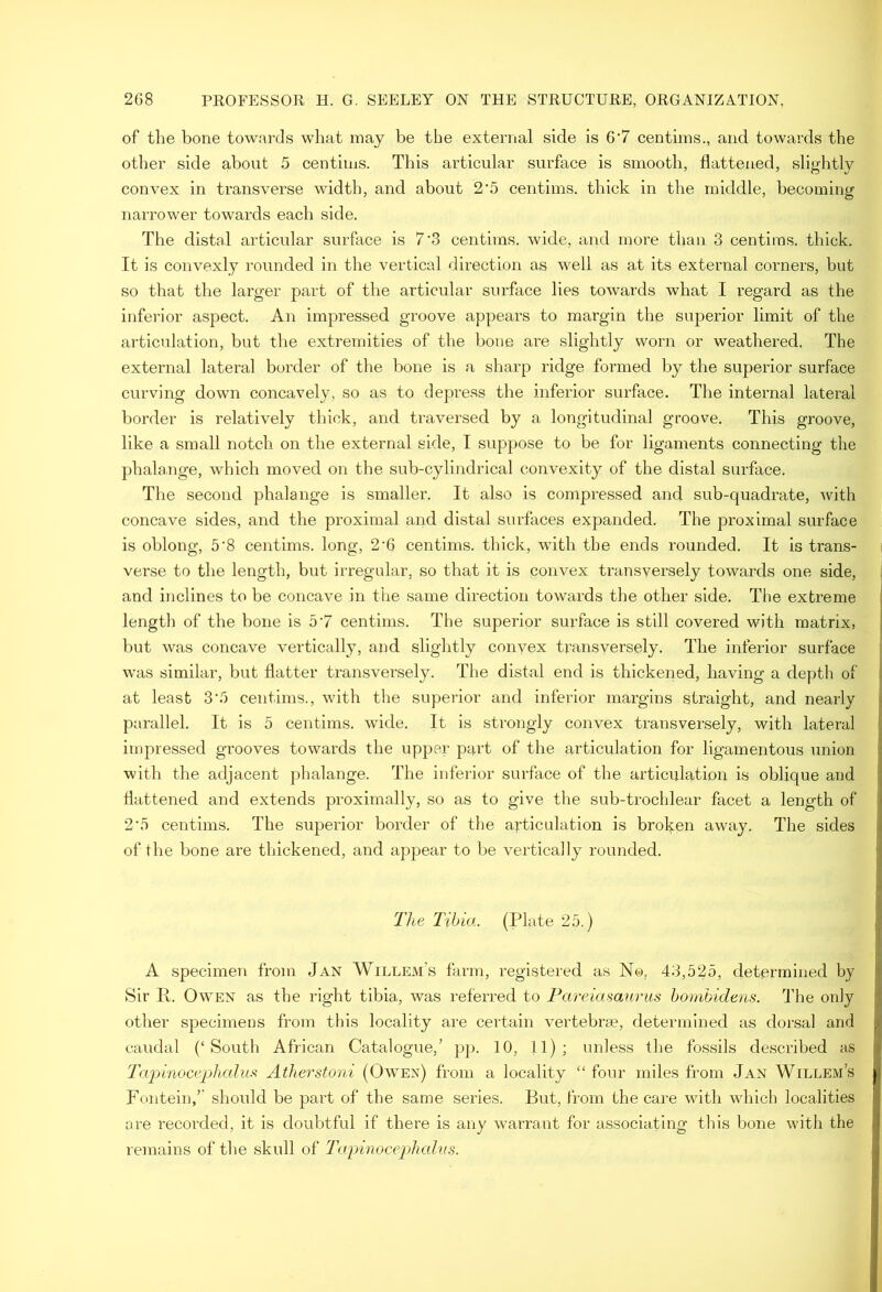of the bone towards what may be the external side is 6'7 centims., and towards the other side about 5 centims. This articular surface is smooth, flattened, slightly convex in transverse width, and about 2'5 centims. thick in the middle, becoming narrower towards each side. The distal articular surface is 7‘3 centims. wide, and more than 3 centims. thick. It is convexly rounded in the vertical direction as well as at its external corners, but so that the larger part of the articular surface lies towards what I regard as the inferior aspect. An impressed groove appears to margin the superior limit of the articulation, but the extremities of the bone are slightly worn or weathered. The external lateral border of the bone is a sharp ridge formed by the superior surface curving down concavely, so as to depress the inferior surface. The internal lateral border is relatively thick, and traversed by a longitudinal groove. This groove, like a small notch on the external side, I suppose to be for ligaments connecting the phalange, which moved on the sub-cylindrical convexity of the distal surface. The second phalange is smaller. It also is compressed and sub-quadrate, with concave sides, and the proximal and distal surfaces expanded. The proximal surface is oblong, 5’8 centims. long, 2’6 centims. thick, with the ends rounded. It is trans- verse to the length, but irregular, so that it is convex transversely towards one side, and inclines to be concave in the same direction towards the other side. The extreme ; length of the bone is 5'7 centims. The superior surface is still covered with matrix, but was concave vertically, and slightly convex transversely. The inferior surface i was similar, but flatter transversely. The distal end is thickened, having a depth of | at least 3‘.'I centims., with the superior and inferior margins straight, and nearly j parallel. It is 5 centims. wide. It is strongly convex transversely, with lateral \ impressed grooves towards the upper part of the articulation for ligamentous \mion i with the adjacent phalange. The inferior surface of the articulation is oblique and flattened and extends proximally, so as to give the sub-trochlear facet a length of 2'5 centims. The superior border of the articulation is broken away. The sides of the bone are thickened, and appear to be vertically rounded. The Tibia. (Plate 25.) A specimen from Jan Willem’s farm, registered as N©, 43,525, determined by Sir R. Owen as the right tibia, was referred to Pareiasajirus honibidens. The only j other specimens from this locality are certain vertebrae, determined as doi-sal and caudal (‘South African Catalogue,’ pj). 10, 11); unless tlie fossils described as Tapinocephalm Atherstoni (Owen) from a locality “ four miles from Jan Willem’s Fontein,’' should be part of the same series. But, from the care with which localities are recorded, it is doubtful if there is any warrant for associating this bone with the remains of the skull of Tapinocephalus.