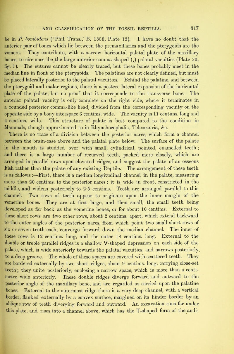 be in P. hombidens (‘Phil. Trans.,’ B, 1888, Plate 15). I have no doubt that the anterior pair of bones which lie between the premaxillaries and the pterygoids are the vomera. They contribute, with a narrow horizontal palatal plate of the maxillary bones, to circumscribe^the large anterior comma-shaped (,) palatal vacuities (Plate 20, fig. ]). The sutures cannot be clearly traced, but these bones probably meet in the median line in front of the pterygoids. The palatines are not clearly defined, but must be placed laterally posterior to the palatal vacuities. Behind the palatine, and between the pterygoid and malar regions, there is a postero-lateral expansion of the horizontal plate of the palate, but no proof that it corresponds to the transverse bone. The anterior palatal vacuity is only complete on the right side, where it terminates in a rounded posterior comma-like head, divided from the corresponding vacuity on the opposite side hy a bony interspace 6 centims. wide. The vacuity is 11 centims. long and 4 centims. wide. This structure of palate is best compared to the condition in Mammals, though approximated to in Bhynchocephalia, Teleosauria, &c. There is no trace of a division between the posterior nares, which form a channel between the brain-case above and the palatal plate below. The surface of the palate in the mouth is studded over with small, cylindrical, pointed, enamelled teeth; and there is a large number of recurved teeth, packed more closely, which are arranged in parallel rows upon elevated ridges, and suggest the palate of an osseous Fish rather than the palate of any existing Beptile. The arrangement of these teeth is as follows :—First, there is a median longitudinal channel in the palate, measuring more than 20 centims. to the posterior nares; it is wide in front, constricted in the middle, and widens posteriorly to 2'5 centims. Teeth are arranged parallel to this channel. Two rows of teeth appear to originate upon the inner margin of the vomerine bones. They are at first large, and then small, the small teeth being developed as far back as the vomerine bones, or for about 10 centims. External to these short rows are two other rows, about 2 centims. apart, which extend backward to the outer angles of the posterior nares, from which point two small short rows of six or seven teeth each, converge forward down the median channel. The inner of these rows is 12 centims. long, and the outer 18 centims. long. External to the double or treble parallel ridges is a shallow V-shaped depression on each side of the palate, which is wide anteriorly towards the palatal vacuities, and narrows posteriorly, to a deep groove. The whole of these spaces are covered with scattered teeth. They are bordered externally by two short ridges, about 9 centims. long, carrying close-set teeth; they unite posteriorly, enclosing a narrow space, which is more than a centi- metre wide anteriorly. These double ridges diverge forward and outward to the posterior angle of the maxillary bone, and are regarded as carried upon the palatine bones. External to the outermost ridge there is a very deep channel, with a vertical border, flanked externally by a convex surface, margined on its hinder border by an oblique row of teeth diverging forward and outward. An excavation runs far under this plate, and rises into a channel above, which has the T-shaped form of the audi-