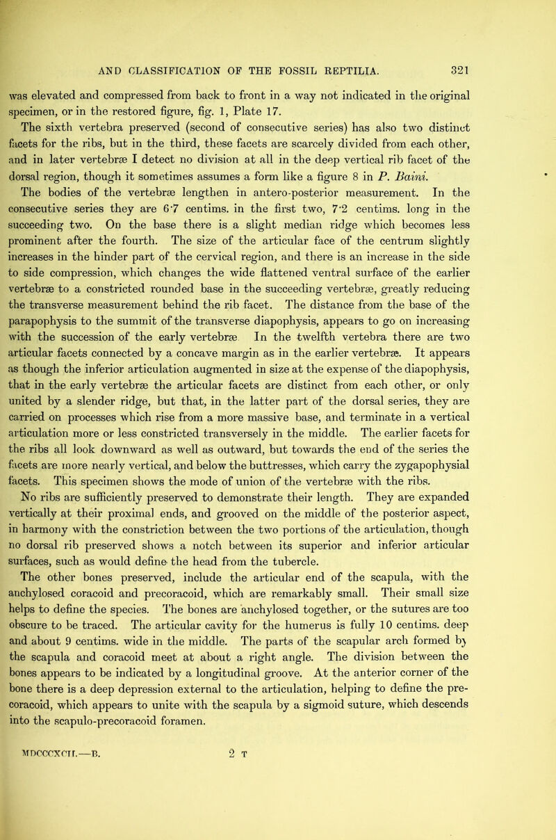 was elevated and compressed from back to front in a way not indicated in tlie original specimen, or in the restored figure, fig. 1, Plate 17. The sixth vertebra preserved (second of consecutive series) has also two distinct facets for the ribs, but in the third, these facets are scarcely divided from each other, and in later vertebrae I detect no division at all in the deep vertical rib facet of the dorsal region, though it sometimes assumes a form like a figure 8 in P. Baini. The bodies of the vertebrae lengthen in antero-posterior measurement. In the consecutive series they are 6'7 centime, in the first two, 7’2 centims. long in the succeeding two. On the base there is a slight median ridge which becomes less prominent after the fourth. The size of the articular face of the centrum slightly increases in the hinder part of the cervical region, and there is an increase in the side to side compression, which changes the wide flattened ventral surface of the earlier vertebrae to a constricted rounded base in the succeeding vertebrae, greatly reducing the transverse measurement behind the rib facet. The distance from the base of the parapophysis to the summit of the transverse diapophysis, appears to go on increasing with the succession of the early vertebrae In the twelfth vertebra there are two articular facets connected by a concave margin as in the earlier vertebrae. It appears as though the inferior articulation augmented in size at the expense of the diapophysis, that in the early vertebrae the articular facets are distinct from each other, or only united by a slender ridge, but that, in the latter part of the dorsal series, they are carried on processes which rise from a more massive base, and terminate in a vertical articulation more or less constricted transversely in the middle. The earlier facets for the ribs all look downward as well as outward, but towards the end of the series the facets are more nearly vertical, and below the buttresses, which carry the zygapophysial facets. This specimen shows the mode of union of the vertebrae with the ribs. No ribs are sufficiently preserved to demonstrate their length. They are expanded vertically at their proximal ends, and grooved on the middle of the posterior aspect, in harmony with the constriction between the two portions of the articulation, though no dorsal rib preserved shows a notch between its superior and inferior articular surfaces, such as would define- the head from the tubercle. The other bones preserved, include the articular end of the scapula, with the anchylosed coracoid and precoracoid, which are remarkably small. Their small size helps to define the species. The bones are anchylosed together, or the sutures are too obscure to be traced. The articular cavity for the humerus is fully 10 centims. deep and about 9 centims. wide in the middle. The parts of the scapular arch formed b} the scapula and coracoid meet at about a right angle. The division between the bones appears to be indicated by a longitudinal groove. At the anterior corner of the bone there is a deep depression external to the articulation, helping to define the pre- coracoid, which appears to unite with the scapula by a sigmoid suture, which descends into the scapulo-precoracoid foramen. 2 T MDCCCXOir.—B.
