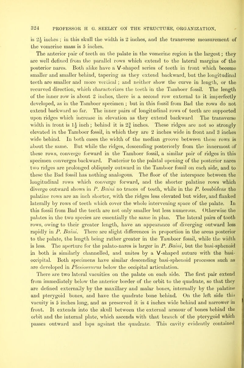 is 2^ indies ; in this skull the width is 2 inches, and the transverse measurement of the vomerine mass is 5 inches. The anterior pair of teeth on the palate in the vomerine region is the largest; they are well defined from the parallel rows which extend to the lateral margins of the posterior nares. Both alike have a V-shaped series of teeth in front which become smaller and smaller behind, tapering as they extend backward, but the longitudinal teeth are smaller and more vertical ; and neither show the curve in length, or the recurved direction, which characterizes the teeth in the Tamboer fossil. The length of the inner row is about 2 inches, there is a second row external to it imperfectly developed, as in the Tamboer specimen ; but in this fossil from Bad the rows do not extend backward so far. The inner pairs of longitudinal rows of teeth are supported upon ridges which increase in elevation as they extend backward. The transverse width in front is 1|- inch; behind it is 2f inches. These ridges are not so strongly I elevated in the Tamboer fossil, in which they are 2 inches wide in front and 3 inches wide behind. In both cases the width of the median groove between these rows is about the same. But while the ridges, descending posteriorly from the innermost of ; these rows, converge forward in the Tamboer fossil, a similar pair of ridges in this i specimen converges backward. Posterior to the palatal opening of the posterior nares two ridges are prolonged obliquely outward in the Tamboer fossil on each side, and to these the Bad fossil has nothing analogous. The floor of the interspace between the j longitudinal rows which converge forward, and the shorter palatine rows which j diverge outward shows in P. Baini no traces of teeth, while in the P. homhidens the palatine rows are an inch shorter, with the ridges less elevated but wider, and flanked || laterally by rows of teeth which cover the whole intervening space of the palate. In 1 this fossil from Bad the teeth are not only smaller but less numerous. Otherwise the I palates in the two species are essentially the same in plan. The lateral pairs of tooth j rows, owing to their greater length, have an appearance of diverging outward less rapidly in P. Baini. There are slight differences in proportion in the areas posterior jj to the palate, the length being rather greater in the Tamboer fossil, while the width |j is less. The aperture for the palato-nares is larger in P. Baini, but the basi-sphenoid \\ in both is similarly channelled, and unites by a V-shaped suture with the basi- !j occipital. Both specimens have similar descending basi-sphenoid processes such as [ are developed in Plesiosaurus below the occipital articulation. j There are two lateral vacuities on the palate on each side. The first pair extend from immediately below the anterior border of the orbit to the quadrate, so that they are defined externally by the maxillary and malar bones, internally by the palatine and pterygoid bones, and have the quadrate bone behind. On the left side this vacuity is 5 inches long, and as preserved it is 4 inches wide behind and narrower in front. It extends into the skull between the external armour of bones behind the orbit and the internal plate, which ascends with that branch of the pterygoid which t passes outward and laps against the quadrate. This cavity evidently contained ,i