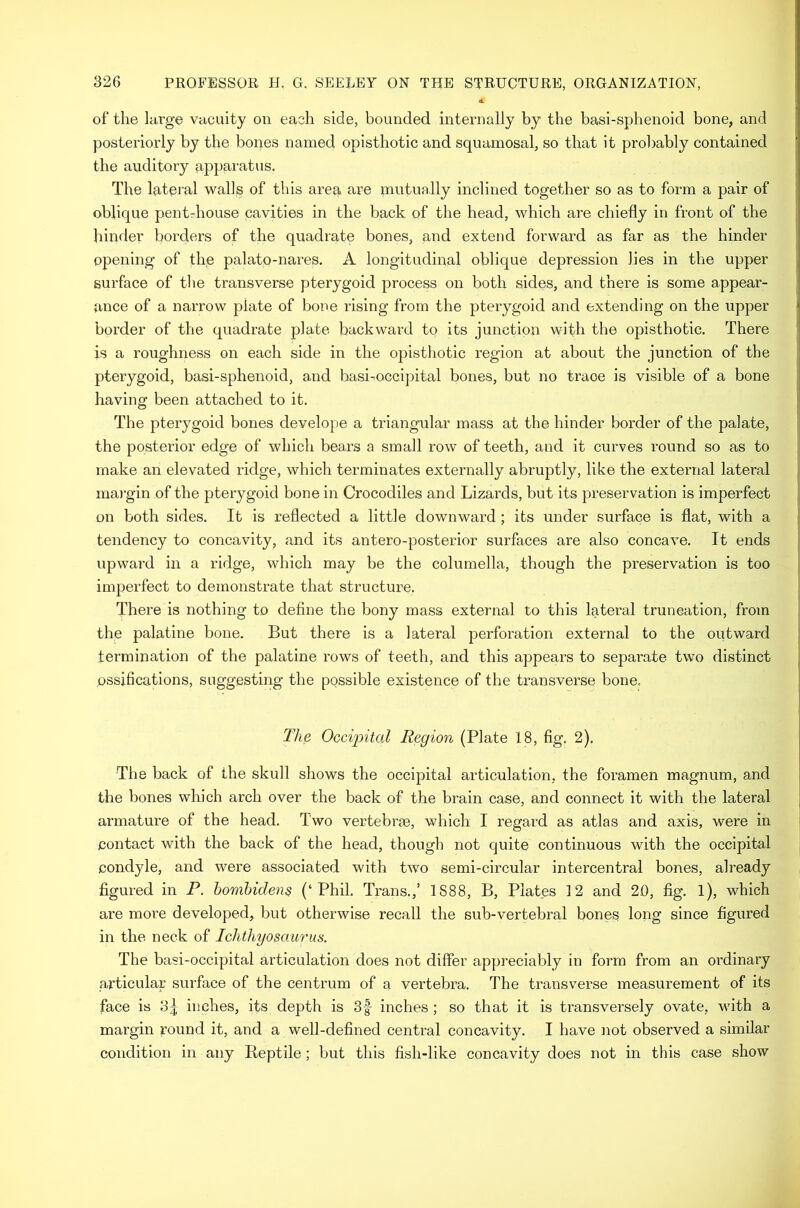 of* the large vacuity on each side, bounded internally by the basi-sphenoid bone, and posteriorly by the bones named opisthotic and squamosal, so that it probably contained the auditory appai'atus. The Ig-teral walls of this areq are mutually inclined together so as to form a pair of oblique pentrhouse cavities in the back of the head, which are chiefly in front of the binder borders of the quadrate bones, and extend forward as far as the hinder opening of the palato-nares. A longitudinal oblique depression lies in the upper surface of tlie transverse pterygoid process on both sides, and there is some appear- ance of a narrow plate of bone rising from the pterygoid and extending on the upper border of the quadrate plate backward to its junction with the opisthotic. There is a roughness on each side in the opisthotic region at about the junction of the pterygoid, basi-sphenoid, and basi-occij^ital bones, but no trace is visible of a bone having been attached to it. The pterygoid bones develope a triangular mass at the hinder border of the palate, the posterior edge of which bears a small row of teeth, and it curves round so as to make an elevated ridge, which terminates externally abruptly, like the external lateral mai'gin of the pterygoid bone in Crocodiles and Lizards, but its preservation is imperfect on both sides. It is reflected a little downward; its under surface is flat, with a tendency to concavity, and its antero-posterior surfaces are also concave. It ends upward in a ridge, which may be the columella, though the preservation is too imperfect to demonstrate that structure. There is nothing to define the bony mass external to this lateral truncation, from the palatine bone. But there is a lateral perforation external to the outward termination of the palatine rows of teeth, and this appears to separate two distinct ossifications, suggesting the possible existence of the transverse bone. The Occipital Region (Plate 18, fig. 2). The back of the skull shows the occipital articulation, the foramen magnum, and the bones which arch over the back of the brain case, and connect it with the lateral armature of the head. Two vertebrae, which I regard as atlas and axis, were in contact with the back of the head, though not quite continuous with the occipital condyle, and were associated with two semi-circular intercentral bones, already figured in P. homhidens (‘Phil. Trans.,’ 1888, B, Plates 12 and 20, fig. 1), which are more developed, but otherwise recall the sub-vertebral bones long since figured in the neck of Ichthyosaurus. The basi-occipital articulation does not differ appreciably in form from an ordinary articular surface of the centrum of a vertebra. The transverse measurement of its face is 3^ inches, its depth is 3-| inches ; so that it is transversely ovate, vuth a margin round it, and a well-defined central concavity. I have not observed a similar condition in any Beptile; but this fish-like concavity does not in this case show