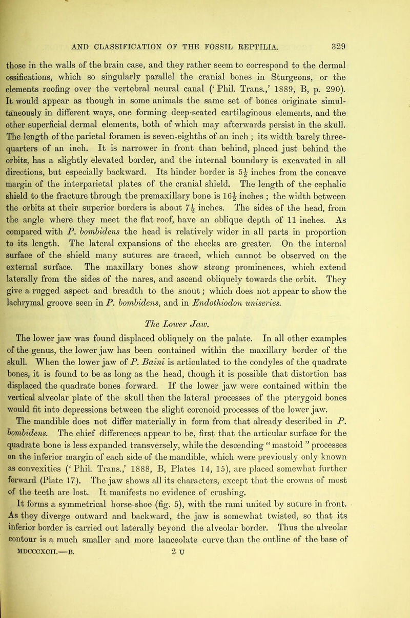 those in the walls of the brain case, and thej rather seem to correspond to the dermal ossifications, which so singularly parallel the cranial bones in Sturgeons, or the elements roofing over the vertebral neural canal (‘Phil. Trans.,’ 1889, B, p. 290). It would appear as though in some animals the same set of bones originate simul- taneously in different ways, one forming deep-seated cartilaginous elements, and the other superficial dermal elements, both of which may afterwards persist in the skull. The length of the parietal foramen is seven-eighths of an inch ; its width barely three- quarters of an inch. It is narrower in front than behind, placed just behind the orbits, has a slightly elevated border, and the internal boundary is excavated in all directions, but especially backward. Its hinder border is 5|- inches from the concave margin of the interparietal plates of the cranial shield. The length of the cephalic shield to the fracture through the premaxillary bone is 16|- inches ; the width between the orbits at their superior borders is about 7^ inches. The sides of the head, from the angle where they meet the flat roof, have an oblique depth of 11 inches. As compared with P. hombidens the head is relatively wider in all parts in proportion to its length. The lateral expansions of the cheeks are greater. On the internal surface of the shield many sutures are traced, which cannot be observed on the external surface. The maxillary bones show strong prominences, which extend laterally from the sides of the nares, and ascend obliquely towards the orbit. They give a rugged aspect and breadth to the snout; which does not appear to show the lachrymal groove seen in P. hombidens, and in EndotJiiodon uniseries. The Loiver Jaw. The lower jaw was found displaced obliquely on the palate. In all other examples of the genus, the lower jaw has been contained within the maxillary border of the skull. When the lower jaw of P. Baini is articulated to the condyles of the quadrate hones, it is found to be as long as the head, though it is possible that distortion has displaced the quadrate bones forward. If the lower jaw were contained within the vertical alveolar plate of the skull then the lateral processes of the pterygoid bones would fit into depressions between the slight coronoid processes of the lower jaw. The mandible does not difiPer materially in form from that already described in P. hombidens. The chief differences appear to be, first that the articular surface for the quadrate bone is less expanded transversely, while the descending “ mastoid ” processes on the inferior margin of each side of the mandible, which were previously only known as convexities (‘Phil. Trans.,’ 1888, B, Plates 14, 15), are placed somewhat further forward (Plate 17). The jaw shows all its characters, except that the crowns of most of the teeth are lost. It manifests no evidence of crushing. It forms a symmetrical horse-shoe (fig. 5), with the rami united by suture in front. As they diverge outward and backward, the jaw is somewhat twisted, so that its inferior border is carried out laterally beyond tlie alveolar border. Thus the alveolar contour is a much smaller and more lanceolate curve than the outline of the base of 2 U MDCCCXCII.—B.