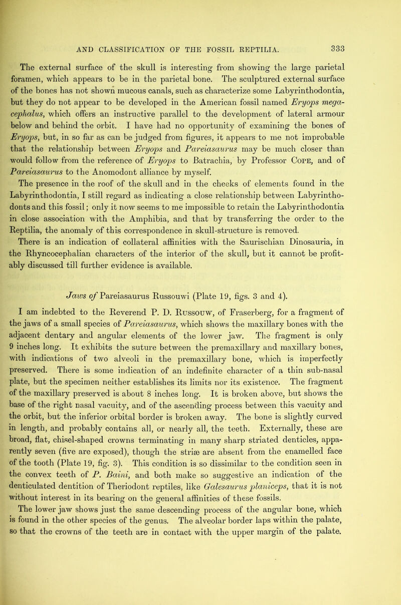 The external surface of the skull is interesting from showing the large parietal foramen, w^hich appears to be in the parietal bone. The sculptured external surface of the bones has not shown mucous canals, such as characterize some Labyrinthodontia, but they do not appear to be developed in the American fossil named Eryops mega- cephalus, which offers an instructive parallel to the development of lateral armour below and behind the orbit. I have had no opportunity of examining the bones of Eryops, but, in so far as can be judged from figures, it appears to me not improbable that the relationship between Eryops and Pareiasaurus may be much closer than would follow from the reference of Eryops to Batrachia, by Professor Cope, and of Pareiasaurus to the Anomodont alliance by myself. The presence in the roof of the skull and in the cheeks of elements found in the Labyrinthodontia, I still regard as indicating a close relationship between Labyrintho- donts and this fossil; only it now seems to me impossible to retain the Labyrinthodontia in close association with the Amphibia, and that by transferring the order to the Reptilia, the anomaly of this correspondence in skull-structure is removed. There is an indication of collateral affinities with the Saurischian Dinosauria, in the Rhyncocephalian characters of the interior of the skull, but it cannot be profit- ably discussed till further evidence is available. Jaws q/ Pareiasaurus Russouwd (Plate 19, figs. 3 and 4). I am indebted to the Reverend P. D. Russouw, of Fraserberg, for a fragment of the jaws of a small species of Pareiasamnis, which shows the maxillary bones with the adjacent dentary and angular elements of the lower jaw. The fragment is only 9 inches long. It exhibits the suture between the premaxillary and maxillary bones, with indications of two alveoli in the premaxillary bone, which is imperfectly preserved. There is some indication of an indefinite character of a thin sub-nasal plate, but the specimen neither establishes its limits nor its existence. The fragment of the maxillary preserved is about 8 inches long. It is broken above, but shows the base of the right nasal vacuity, and of the ascending process between this vacuity and the orbit, but the inferior orbital border is broken away. The bone is slightly curved in length, and probably contains all, or nearly all, the teeth. Externally, these are broad, flat, chisel-shaped crowns terminating in many sharp striated denticles, appa- rently seven (five are exposed), though the striae are absent from the enamelled face of the tooth (Plate 19, fig. 3), This condition is so dissimilar to the condition seen in the convex teeth of P. Baini, and both make so suggestive an indication of the denticulated dentition of Theriodont reptiles, like Galesaurus planiceps, that it is not without interest in its bearing on the general affinities of these fossils. The lower jaw shows just the same descending process of the angular bone, which is found in the other species of the genus. The alveolar border laps within the palate, so that the crowns of the teeth are in contact with the upper margin of the palate.