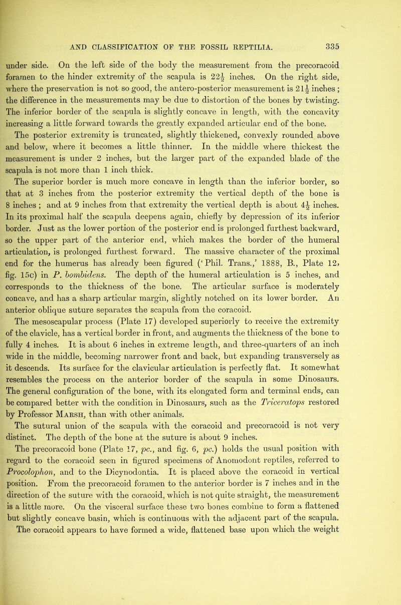 under side. On the left side of the body the measurement from the precoracoid foramen to the hinder extremity of the scapula is 22^ inches. On the right side, where the preservation is not so good, the antero-posterior measurement is 21-| inches ; the difference in the measurements may be due to distortion of the bones by twisting. The inferior border of the scapula is slightly concave in length, with the concavity increasing a little forward towards the greatly expanded articular end of the bone. The posterior extremity is truncated, slightly thickened, convexly rounded above and below, where it becomes a little thinner. In the middle where thickest the measurement is under 2 inches, but the larger part of the expanded blade of the scapula is not more than 1 inch thick. The superior border is much more concave in length than the inferior border, so that at 3 inches from the posterior extremity the vertical depth of the bone is 8 inches ; and at 9 inches from that extremity the vertical depth is about 4^ inches. In its proximal half the scapula deepens again, chiefly by depression of its inferior border. Just as the lower portion of the posterior end is jDrolonged furthest backward, so the upper part of the anterior end, which makes the border of the humeral articulation, is prolonged furthest forward. The massive character of the proximal end for the humerus has already been figured (‘Phil, Trans.,’ 1888, B., Plate 12> fig. 15c) in P. hombidens. The depth of the humeral articulation is 5 inches, and corresponds to the thickness of the bone. The articular surface is moderately concave, and has a sharp articular margin, slightly notched on its lower border. An anterior oblique suture separates the scapula from the coracoid. The mesoscapular process (Plate 17) developed superiorly to receive the extremity of the clavicle, has a vertical border in front, and augments the thickness of the bone to fully 4 inches. It is about 6 inches in extreme length, and three-quarters of an inch wide in the middle, becoming narrower front and back, but expanding transversely as it descends. Its surface for the clavicular articulation is perfectly flat. It somewhat resembles the process on the anterior border of the scapula in some Dinosaurs. The general configuration of the bone, with its elongated form and terminal ends, can be compared better with the condition in Dinosaurs, such as the Triceratops restored by Professor Marsh, than with other animals. The sutural union of the scapula with the coracoid and precoracoid is not very distinct. The depth of the bone at the suture is about 9 inches. The precoracoid bone (Plate 17, pc., and fig. 6, pc.) holds the usual position with regard to the coracoid seen in figured specimens of Anomodont reptiles, referred to Procolophon, and to the Dicynodontia. It is placed above the coracoid in vertical position. From the precoracoid foramen to the anterior border is 7 inches and in the direction of the suture with the coracoid, which is not quite straight, the measurement is a little more. On the visceral surface these two bones combine to form a flattened but slightly concave basin, which is continuous with the adjacent part of the scapula. The coracoid appears to have formed a wide, flattened base upon which the weight