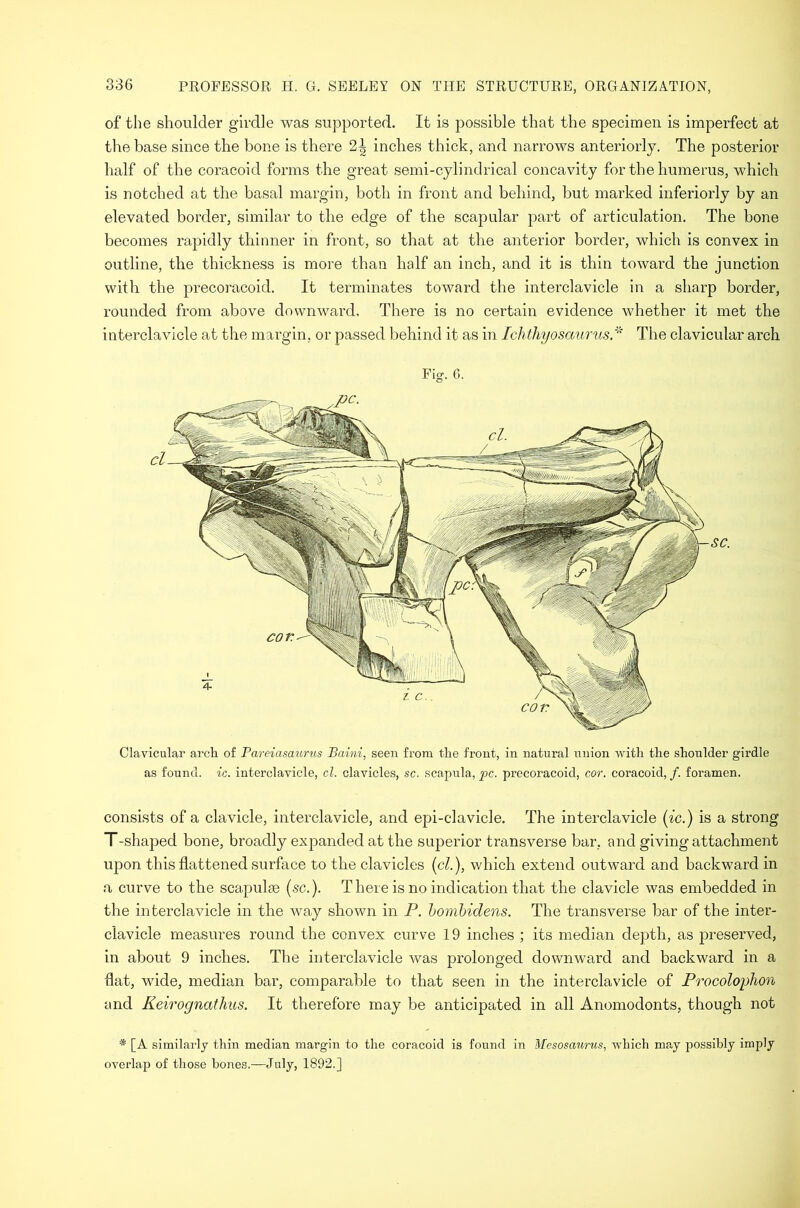 of the shoulder girdle was supported. It is possible that the specimen is imperfect at the base since the bone is there 2| inches thick, and narrows anteriorly. The posterior half of the coracoid forms the great semi-cylindrical concavity for the humerus, which is notched at the basal margin, both in front and behind, but marked inferiorly by an elevated border, similar to the edge of the scapular part of articulation. The bone becomes rapidly thinner in front, so that at the anterior border, which is convex in outline, the thickness is more than half an inch, and it is thin toward the junction with the precoracoid. It terminates toward the interclavicle in a sharp border, rounded from above downward. There is no certain evidence whether it met the interclavicle at the margin, or passed behind it as in Ich thyosaurus/' The clavicular arch Clavicular arch of Pareiasaurus Baini, seen from the front, in natural union with the shoulder girdle as found, ic. interclavicle, cl. clavicles, sc. scapula, pc. precoracoid, cor. coracoid, f. foramen. consists of a clavicle, interclavicle, and epi-clavicle. The interclavicle (ic.) is a strong T-shaj^ed bone, broadly expanded at the superior transverse bar, and giving attachment upon this flattened surface to the clavicles (cL), which extend outward and backward in a curve to the scapulte (sc.). T here is no indication that the clavicle was embedded in the interclavicle in the way shown in P. hombidens. The transverse bar of the inter- clavicle measures round the convex curve 19 inches ; its median depth, as preserved, in about 9 inches. The interclavicle was prolonged downward and backward in a flat, wide, median bar, comparable to that seen in the interclavicle of Procolophon and Keirognathus. It therefore may be anticipated in all Anomodonts, though not * [A similarly thin median margin to the coracoid is found in Mesosmirus, which may possibly imply overlap of those hones.—July, 1892.]