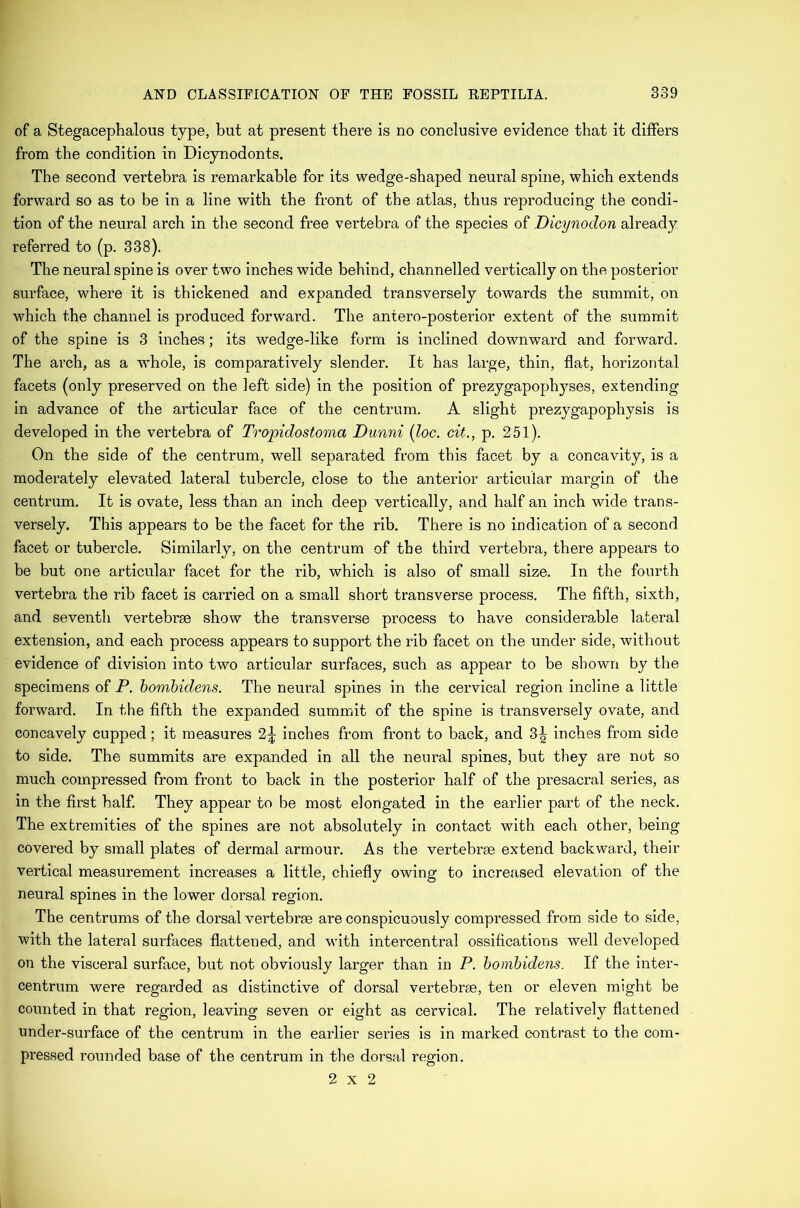 of a Stegacephalous type, but at present there is no conclusive evidence that it differs from the condition in Dicynodonts. The second vertebra is remarkable for its wedge-shaped neural spine, which extends forward so as to be in a line with the front of the atlas, thus reproducing the condi- tion of the neural arch in the second free vertebra of the species of Dicynodon already referred to (p. 338). The neural spine is over two inches wide behind, channelled vertically on the posterior surface, where it is thickened and expanded transversely towards the summit, on M^hich the channel is produced forward. The antero-posterior extent of the summit of the spine is 3 inches; its wedge-like form is inclined downward and forward. The arch, as a whole, is comparatively slender. It has large, thin, flat, horizontal facets (only preserved on the left side) in the position of prezygapophyses, extending in advance of the articular face of the centrum. A slight prezygapophysis is developed in the vertebra of Tropidostoma Dunni {loc. cit., p. 251). On the side of the centrum, well separated from this facet by a concavity, is a moderately elevated lateral tubercle, close to the anterior articular margin of the centrum. It is ovate, less than an inch deep vertically, and half an inch wide trans- versely. This appears to be the facet for the rib. There is no indication of a second facet or tubercle. Similarly, on the centrum of the third vertebra, there appears to be but one articular facet for the rib, which is also of small size. In the fourth vertebra the rib facet is carried on a small short transverse process. The fifth, sixth, and seventh vertebrae show the transverse process to have considerable lateral extension, and each process appears to support the rib facet on the under side, without evidence of division into two articular surfaces, such as appear to be shown by the specimens of P. homhidens. The neural spines in the cervical region incline a little forward. In the fifth the expanded summit of the spine is transversely ovate, and concavely cupped; it measures 2^ inches from front to back, and 3^ inches from side to side. The summits are expanded in all the neural spines, but they are not so much compressed from front to back in the posterior half of the presacral series, as in the first half. They appear to be most elongated in the earlier part of the neck. The extremities of the spines are not absolutely in contact with, each other, being covered by small plates of dermal armour. As the vertebrae extend backward, their vertical measurement increases a little, chiefly owing to increased elevation of the neural spines in the lower dorsal region. The centrums of the dorsal vertebrae are conspicuously compressed from side to side, with the lateral surfaces flattened, and with intercentral ossifications well developed on the visceral surface, but not obviously larger than in P. homhidens. If the inter- centrum were regarded as distinctive of dorsal vertebrae, ten or eleven might be counted in that region, leaving seven or eight as cervical. The relatively flattened under-surface of the centrum in the earlier series is in marked contrast to the com- pressed rounded base of the centrum in the dorsal region. 2x2