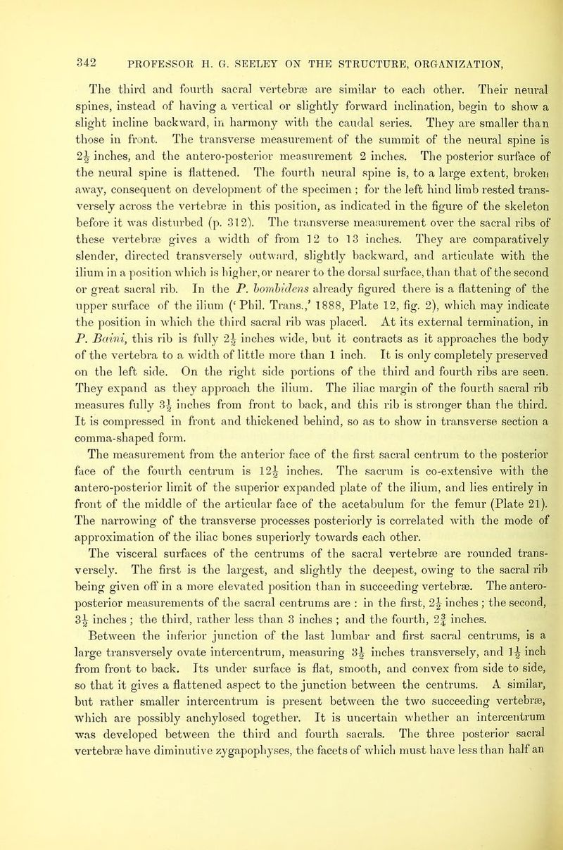 The third and fourth sacral vertebrse are similar to each other. Their neural spines, instead of having a vertical or slightly forward inclination, begin to show a slight incline backward, in harmony with the caudal series. They are smaller than those in front. The transverse measurement of the summit of the neural spine is 2^ inches, and the antero-posterlor measurement 2 inches. The posterior surface of the neural spine is flattened. The fourth neural spine is, to a large extent, broken away, consequent on development of the specimen ; for the left hind limb rested trans- versely across the vertebrae in this position, as indicated in the figure of the skeleton before it was disturbed (p. 312). The transverse measurement over the sacral ribs of these vertebrae gives a width of from 12 to 13 inches. They are comparatively slender, directed transversely outward, slightly backward, and articulate with the ilium in a position which is higher, or nearer to the dorsal surface, than that of the second or great sacral rib. In the P. hombidens already figured there is a flattening of the upper surface of the ilium (‘Phil. Trans.,’ 1888, Plate 12, fig. 2), which may indicate the position in which the third sacral rib was placed. At its external termination, in P. Baini, this rib is fully 2^ inches wide, but it contracts as it approaches the body of the vertebra to a width of little more than 1 inch. It is only completely preserved on the left side. On the right side jjortions of the third and fourth ribs are seen. They expand as they approach the ilium. The iliac margin of the fourth sacral rib m.easures fully 3| inches from front to back, and this rib is stronger than the third. It is compressed in front and thickened behind, so as to show in transverse section a comma-shaped form. The measurement from the anterior face of the first sacral centrum to the posterior face of the fourth centrum is 12^ inches. The sacrum is co-extensive with the antero-posterior limit of the superior expanded plate of the ilium, and lies entirely in front of the middle of the articular face of the acetabulum for the femur (Plate 21). The narrowing of the transverse processes posteriorly is correlated with the mode of approximation of the iliac bones superiorly towards each other. The visceral surfaces of the centrums of the sacral vertebrae are rounded trans- versely. The first is the largest, and slightly the deepest, owing to the sacral rib being given off in a more elevated position than in succeeding vertebrae. The antero- posterior measurements of the sacral centrums are : in the first, 2|- inches ; the second, 3-g inches ; the third, rather less than 3 inches ; and the fourth, 2| inches. Between the inferior junction of the last lumbar and first sacral centrums, is a large transversely ovate intercentrum, measuring 3^ inches transversely, and 1-| inch from front to back. Its under surface is flat, smooth, and convex from side to side, so that it gives a flattened aspect to the junction between the centrums. A similar, but rather smaller intercentrum is present between the two succeeding vertebrae, which are possibly anchylosed together. It is uncertain whether an intercentrum was developed between the third and fourth sacrals. The three posterior sacral vertebrae have diminutive zygapophyses, the facets of which must have less than half an
