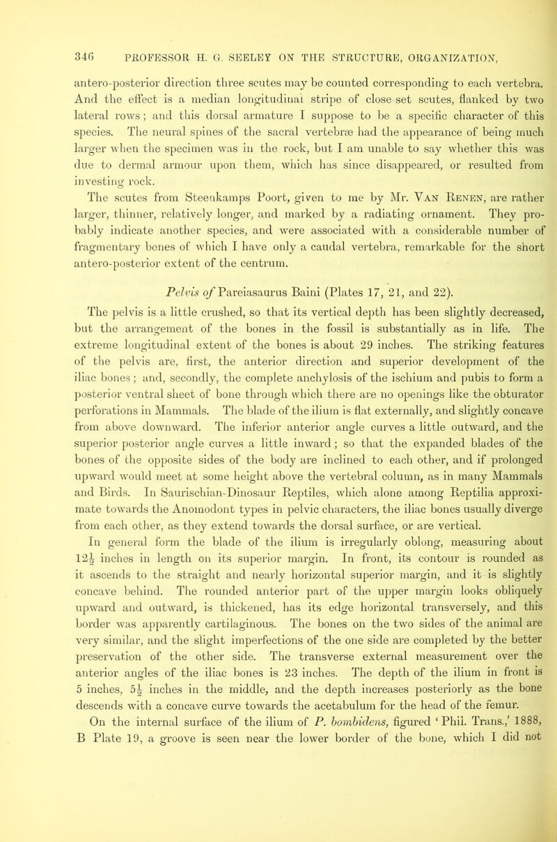 antero-posterior direction three scutes may be counted corresponding to each vertebra. And the effect is a median longitudinaL stripe of close-set scutes, flanked by two lateral rows ; and this dorsal armature I suppose to be a specific character of this species. The neural spines of the sacral vertebrse had the appearance of being much larger when the specimen was in the rock, but I am unable to say wlietber this was due to dermal armour upon them, which has since disappeared, or resulted from investino’ rock. O The scutes from Steenkamps Poort, given to me by Mr. Van Renen, are rather larger, thinner, relatively longer, and marked by a radiating ornament. They pro- bably indicate another species, and were associated with a considerable number of fragmentary bones of which I have only a caudal vertebra, remarkable for the short antero-posterior extent of the centrum. Pelvis q/Pareiasaurns Baini (Plates 17, 21, and 22), The pelvis is a little crushed, so that its vertical depth has been slightly decreased, but the arrangement of the bones in the fossil is substantially as in life. The extreme longitudinal extent of the bones is about 29 inches. The striking features of the pelvis are, first, the anterior direction and superior development of the iliac bones; and, secondly, the complete anchylosis of the ischium and pubis to form a posterior ventral sheet of bone through which there are no openings like the obturator perforations in Mammals. The blade of the ilium is flat externally, and slightly concave from above downward. The inferior anterior angle curves a little outward, and the superior posterior angle curves a little inward; so that the expanded blades of the bones of the opposite sides of the body are inclined to each other, and if prolonged upward would meet at some height above the vertebral column, as in many Mammals and Birds. In Saurischian-Dinosaur Pteptiles, which alone among Reptilia approxi- mate towards the Anomodont types in pelvic characters, the iliac bones usually diverge from each otlier, as they extend towards the dorsal surface, or are vertical. In general form the blade of the ilium is irregularly oblong, measuring about 12^ inches in length on its superior margin. In front, its contour is rounded as it ascends to the straight and nearly horizontal superior margin, and it is slightly concave behind. The rounded anterior part of the upper margin looks obliquely upward and outward, is thickened, has its edge horizontal transversely, and this border was apparently cartilaginous. The bones on the two sides of the animal are very similar, and the slight imperfections of the one side are completed by the better preservation of the other side. The transverse external measurement over the anterior angles of the iliac bones is 23 inches. The depth of the ilium in front is 5 inches, 5^ inches in the middle, and the depth increases posteriorly as the bone descends with a concave curve towards the acetabulum for the head of the femur. On the internal surface of the ilium of P. hombidens, figured ‘Phil. Trans.,’ 1888, B Plate 19, a groove is seen near the lower border of the bone, which I did not