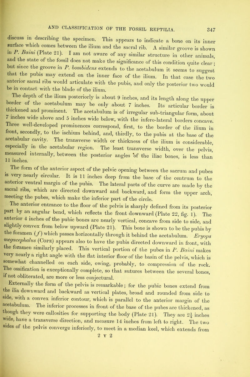 discuss in describing the specimen. This appears to indicate a bone on its inner surface which comes between the ilium and the sacral rib. A similar groove is shown mP.Baim (Plate 21). ^ I am not aware of any similar structure in other animals, and the state of the fossil does not make the significance of this condition quite clear • but since the groove in P. hombidens extends to the acetabulum it seems to suggest that the pubis may extend on the inner face of the ilium. In that case the two ^tenor sacral ribs would articulate with the pubis, and only the posterior two would be m contact with the blade of the ilium. The depth of the ilium posteriorly is about 9 inches, and its length along the upper border of the acetabulum may be only about 7 inches. Its articular border is dickMed and prominent. The acetabulum is of irregular sub-triangular form, about /inches wide above and 5 inches wide below, with the infero-lateral borders concave. Three v^ell-developed prominences correspond, first, to the border of the ilium in front, secondly, to the ischium behind, and, thirdly, to the pubis at the base of the acetabular cavity. The transverse width or thickness of the ilium is considerable, especially m the acetabular region. The least transverse width, over the pelvis,’ measured internally, between the posterior angles 'of the iliac bones, is less than 11 inches. ^ The form of the anterior aspect of the pelvic opening between the sacrum and pubes IS very nearly circular. It is 11 inches deep from the base of the centrum to the anterior ventral margin of the pubis. The lateral parts of the curve are made by the sacral ribs, which are directed downward and backward, and form the upper arch, meeting the pubes, which make the inferior part of the circle. The anterior entrance to the floor of the pelvis is sharply defined from its posterior part by an angular bend, which reflects the front downward (Plate 22, fig. I). The anterior 4 inches of the pubic bones are nearly vertical, concave from side to side, and slightly convex from below upward (Plate 21). This bone is shown to be the pubis by the foramen (/) which passes horizontally through it behind the acetabulum. Erijops 'fy^gacephalus (Cope) appears also to have the pubis directed downward in front, with the foramen similarly placed. This vertical portion of the pubes in F. Baini makes very nearly a right angle with the flat interior floor of the basin of the pelvis, which is somewhat channelled on each side, owing, probably, to compression of the rock. The ossification is exceptionally complete, so that sutures between the several bones, 1 not obliterated, are more or less conjectural. Externally the form of the pelvis is remarkable; for the pubic bones extend from the iha downward and backward as vertical plates, broad and rounded from side to side, with a convex inferior contour, which is parallel to the anterior margin of the acetabulum. The inferior processes in front of the base of the pubes are thickened, as t lough they were callosities for supporting the body (Plate 21). They are 2^ inches wide, have a transverse direction, and measure 14 inches from left to right. The two sides of the pelvis converge interiorly, to meet in a median keel, which extends from 2 Y 2