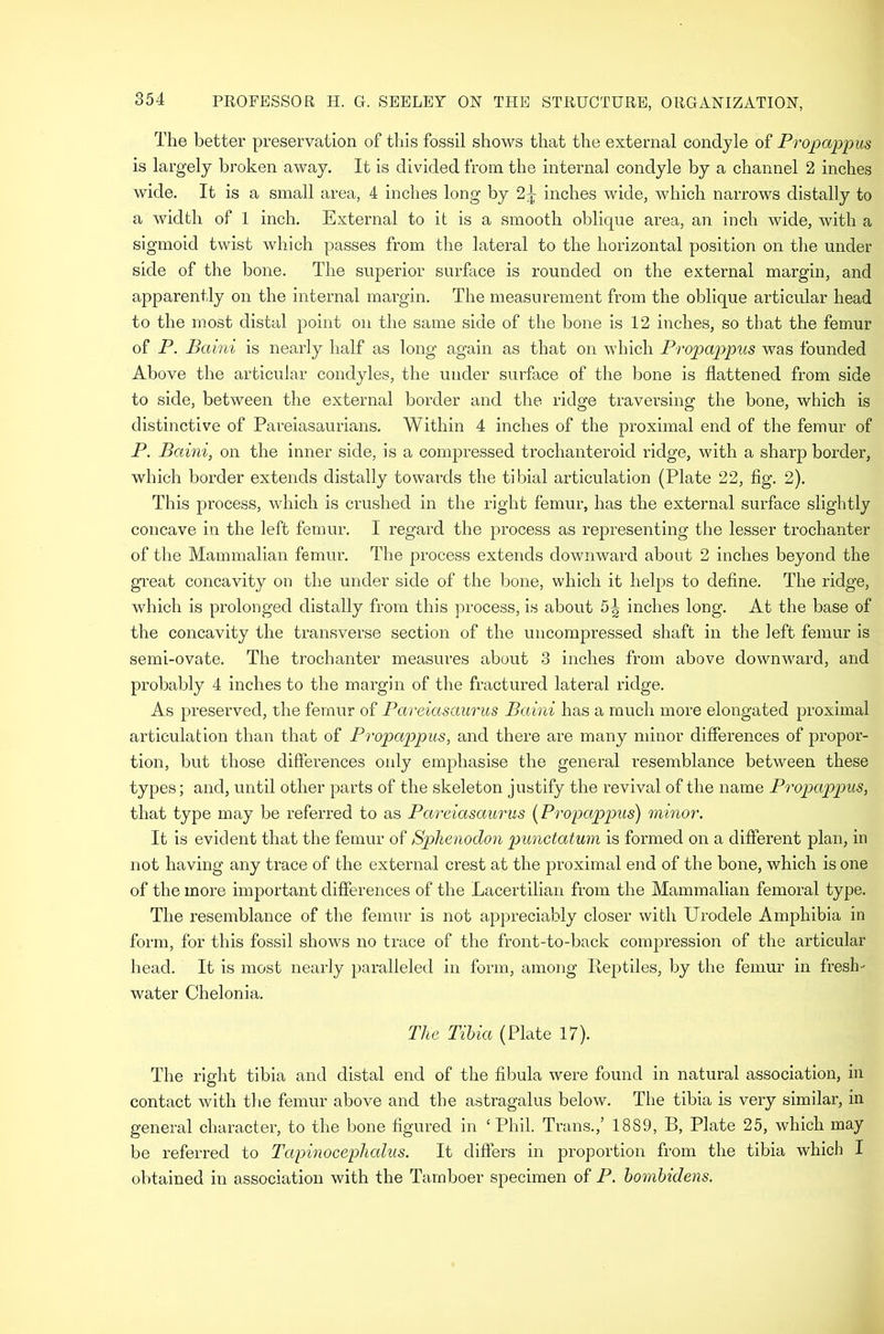 The better preservation of this fossil shows that the external condyle of Propappus is largely broken away. It is divided from the internal condyle by a channel 2 inches wide. It is a small area, 4 inches long by 2^ inches wide, which narrows distally to a width of 1 inch. External to it is a smooth oblique area, an inch wide, with a sigmoid twist which passes from the lateral to the horizontal position on the under side of the bone. The superior surface is rounded on the external margin, and apparently on the internal margin. The measurement from the oblique articular head to the most distal point on the same side of the bone is 12 inches, so that the femur of P. Baini is nearly half as long again as that on which Propappus was founded Above the articular condyles, the under surface of the bone is flattened from side to side, between the external border and the ridge traversing the bone, which is distinctive of Pareiasaurians. Within 4 inches of the proximal end of the femur of P. Baini, on the inner side, is a compressed trochanteroid ridge, with a sharp border, which border extends distally towards the tibial articulation (Plate 22, fig. 2). This process, which is crushed in the right femur, has the external surface slightly concave in the left femur. I regard the process as representing the lesser trochanter of the Mammalian femur. The process extends downward about 2 inches beyond the gi’eat concavity on the under side of the bone, which it helps to define. The ridge, which is prolonged distally from this process, is about 5^ inches long. At the base of the concavity the transverse section of the uncompressed shaft in the left femur is semi-ovate. The trochanter measures about 3 inches from above downward, and probably 4 inches to the margin of the fractured lateral ridge. As preserved, the femur of Pareiasaurus Baini has a much more elongated proximal articulation than that of Propappus, and there are many minor differences of propor- tion, but those differences only emphasise the general resemblance between these types; and, until other parts of the skeleton justify the revival of the name Propappus, that type may be refeiTed to as Pareiasaurus [Propappus) minor. It is evident that the femur of Sphenodon punctatum is formed on a difierent plan, in not having any trace of the external crest at the proximal end of the bone, which is one of the more important differences of the Lacertiliaii from the Mammalian femoral type. The resemblance of the femur is not appreciably closer with Urodele Amphibia in form, for this fossil shows no trace of the front-to-back comjDression of the articular head. It is most nearly paralleled in form, among Ileptiles, by the femur in fresh- water Chelonia. The Tibia (Plate 17). The right tibia and distal end of the fibula were found in natural association, in contact with the femur above and the astragalus below. The tibia is very similar, in general character, to the bone figured in ‘Phil. Trans.,’ 1889, B, Plate 25, which may be referred to Tapinocephalus. It differs in proportion from the tibia which I obtained in association with the Tarnboer specimen of P. homhidens.