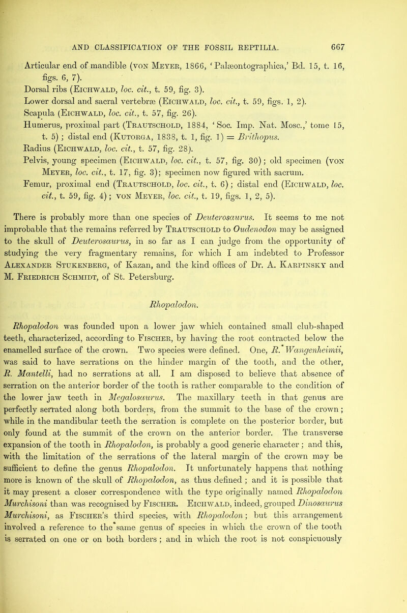 Articular end of mandible (von Meyer, 1866, ‘ Palaeontographica,’ Bd. 15, t. 16, figs. 6, 7). Dorsal ribs (Eichwald, loc. cit., t. 59, fig. 3). Lower dorsal and sacral vertebrae (Eichwald, loc. cit., t. 59, figs. 1, 2). Scapula (Eichwald, loc. cit., t. 57, fig. 26). Humerus, proximal part (Trautschold, 1884, ‘ Soc. Imp. Nat. Mosc.,’ tome 15, t. 5) ; distal end (Kutorga, 1838, t. 1, fig. 1) — Brithopus. Kadius (Eichwald, loc. cit., t. 57, fig. 28). Pelvis, young specimen (Eichwald, loc. cit., t. 57, fig. 30); old specimen (von Meyer, loc. cit., t. 17, fig. 3); specimen now figured wfith sacrum. Femur, proximal end (Trautschold, loc. cit., t. 6); distal end (Eichwald, loc. cit., t. 59, fig. 4); von Meyer, loc. cit., t. 19, figs. 1, 2, 5). There is probably more than one species of Deuterosaurus. It seems to me not improbable that the remains referred by Trautschold to Oudenodon may be assigned to the skull of Deuterosaurus, in so far as I can judge from the opportunity of studying the very fragmentary remains, for which I am indebted to Professor Alexander Stukenberg, of Kazan, and the kind offices of Dr. A. Karpinsky and M. Friedrich Schmidt, of St. Petersburg, Rhopcdodon. Rhopalodon was founded upon a lower jaw which contained small club-shaped teeth, characterized, according to Fischer, by having the root contracted below the enamelled surface of the crown. Two species were defined. One, R. Wangenheimii, was said to have serrations on the hinder margin of the tooth, and the other, R. Mantelli, had no serrations at all. I am disposed to believe that absence of serration on the anterior border of the tooth is rather comparable to the condition of the lower jaw teeth in Megalosaurus. The maxillary teeth in that genus are perfectly serrated along both borders, from the summit to the base of the crown ; while in the mandibular teeth the serration is complete on the posterior border, but only found at the summit of the crown on the anterior border. The transverse expansion of the tooth in Rhopalodon, is probably a good generic character; and this, with the limitation of the serrations of the lateral margin of the crown may be sufficient to define the genus Rhopalodon. It unfortunately happens that nothing more is known of the skull of Rhopalodon, as thus defined ; and it is possible that it may present a closer correspondence with the type originally named Rhopcdodon Murchisoni than was recognised by Fischer. Eichwald, indeed, grouped Dinoscmrus Murcliisoni, as Fischer’s third species, with Rhopcdodon; but this arrangement involved a reference to the same genus of species in w'hich the crown of the tooth is serrated on one or on both borders ; and in which the root is not conspicuously