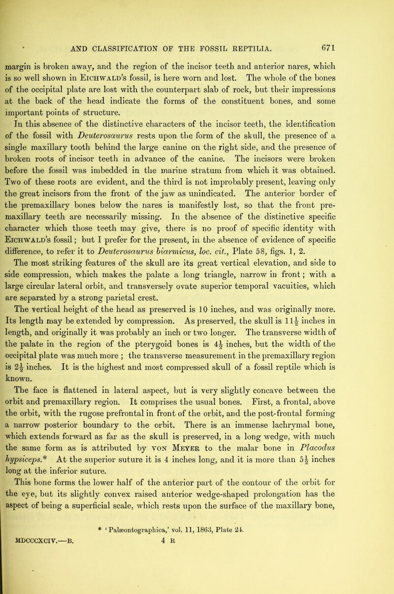 margin is broken away, and the region of the incisor teeth and anterior nares, which is so well shown in Eichwald’s fossil, is here worn and lost. The whole of the bones of the occipital plate are lost with the counterpart slab of rock, but their impressions at the back of the head indicate the forms of the constituent bones, and some important points of structure. In this absence of the distinctive characters of the incisor teeth, the identification of the fossil with Deuterosaurus rests upon the form of the skull, the presence of a single maxillary tooth behind the large canine on the right side, and the presence of broken roots of incisor teeth in advance of the canine. The incisors were broken before the fossil was imbedded in the marine stratum from which it was obtained. Two of these roots are evident, and the third is not improbably present, leaving only the great incisors from the front of the jaw as unindicated. The anterior border of the premaxillary bones below the nares is manifestly lost, so that the front pre- maxillary teeth are necessarily missing. In the absence of the distinctive specific character which those teeth may give, there is no proof of specific identity with Eichwald’s fossil; but I prefer for the present, in the absence of evidence of specific difference, to refer it to Deuterosaurus biarmicus, loc. cit., Plate 58, figs. 1, 2. The most striking features of the skull are its great vertical elevation, and side to side compression, which makes the palate a long triangle, narrow in front; with a large circular lateral orbit, and transversely ovate superior temporal vacuities, which are separated by a strong parietal crest. The vertical height of the head as preserved is 10 inches, and was originally more. Its length may be extended by compression. As preserved, the skull is 11^ inches in length, and originally it was probably an inch or two longer. The transverse width of the palate in the region of the pterygoid bones is 4^ inches, but the width of the occipital plate was much more ; the transverse measurement in the premaxillary region is 2-^ inches. It is the highest and most compressed skull of a fossil reptile which is known. The face is flattened in lateral aspect, but is very slightly concave between the orbit and premaxillary region. It comprises the usual bones. First, a frontal, above the orbit, with the rugose prefrontal in front of the orbit, and the post-frontal forming a narrow posterior boundary to the orbit. There is an immense lachrymal bone, which extends forward as far as the skull is preserved, in a long wedge, with much the same form as is attributed by von Meyer to the malar bone in Placodus hypsiceps.# At the superior suture it is 4 inches long, and it is more than 5^ inches long at the inferior suture. This bone forms the lower half of the anterior part of the contour of the orbit for the eye, but its slightly convex raised anterior wedge-shaped prolongation has the aspect of being a superficial scale, which rests upon the surface of the maxillary bone, MDCCOXCIV.—B. * ‘ Palseontographica,’ vol. 11, 1863, Plate 24. 4 R