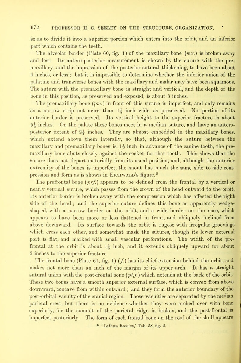 so as to divide it into a superior portion which enters into the orbit, and an inferior part which contains the teeth. The alveolar border (Plate 60, fig. 1) of the maxillary bone (inx.) is broken away and lost. Its antero-posterior measurement is shown by the suture with the pre- maxillary, and the impression of the posterior sutural thickening, to have been about 4 inches, or less; but it is impossible to determine whether the inferior union of the palatine and transverse bones with the maxillary and malar may have been squamous. The suture with the premaxillary bone is straight and vertical, and the depth of the bone in this position, as preserved and exposed, is about 8 inches. The premaxillary bone (pm.) in front of this suture is imperfect, and only remains as a narrow strip not more than 1-| inch wide as preserved. No portion of its anterior border is preserved. Its vertical height to the superior fracture is about 5inches. On the palate these bones meet in a median suture, and have an antero- posterior extent of 2^ inches. They are almost embedded in the maxillary bones, which extend above them laterally, so that, although the suture between the maxillary and premaxillary bones is 1^ inch in advance of the canine tooth, the pre- maxillary bone abuts closely against the socket for that tooth. This shows that the suture does not depart materially from its usual position, and, although the anterior extremity of the bones is imperfect, the snout has much the same side to side com- pression and form as is shown in Eichwald’s figure. * The prefrontal bone (prf) appears to be defined from the frontal by a vertical or nearly vertical suture, which passes from the crown of the head outward to the orbit. Its anterior border is broken away with the compression which has affected the right side of the head ; and the superior suture defines this bone as apparently wedge- shaped, with a narrow border on the orbit, and a wide border on the nose, which appears to have been more or less flattened in front, and obliquely inclined from above downward. Its surface towards the orbit is rugose with irregular groovings which cross each other, and somewhat mask the sutures, though its lower external part is flat, and marked with small vascular perforations. The width of the pre- frontal at the orbit is about 1^ inch, and it extends obliquely upward for about 3 inches to the sujDerior fracture. The frontal bone (Plate 61, fig. 1) (/.’) has its chief extension behind the orbit, and makes not more than an inch of the margin of its upper arch. It has a straight sutural union with the post-frontal bone (ptf) which extends at the back of the orbit. These two bones have a smooth superior external surface, which is convex from above downward, concave from within outward ; and they form the anterior boundary of the post-orbital vacuity of the cranial region. Those vacuities are separated by the median parietal crest, but there is no evidence whether they were arched over with bone . superiorly, for the summit of the parietal ridge is broken, and the post-frontal is imperfect posteriorly. The form of each frontal bone on the roof of the skull appears * ‘ Lethaea Rossica,’ Tab. 58, fig. 2.