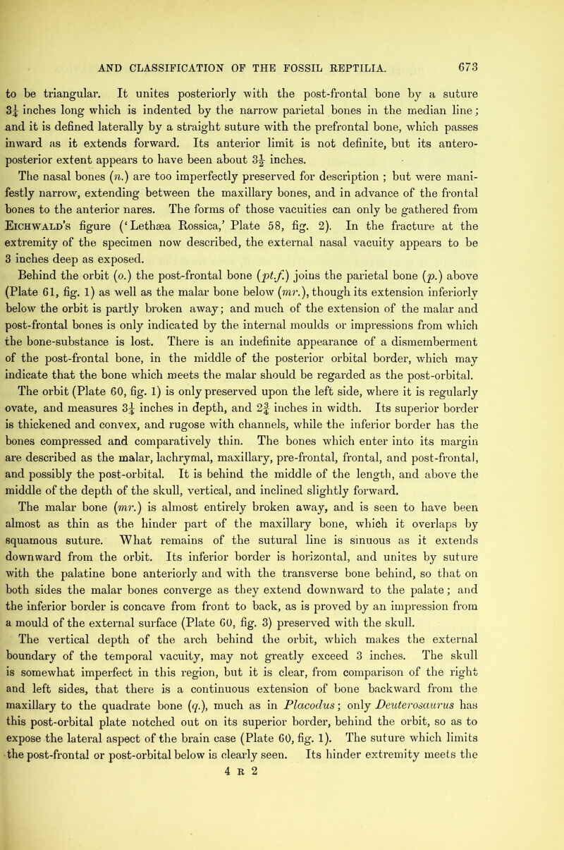 to be triangular. It unites posteriorly with the post-frontal bone by a suture 3^ inches long which is indented by the narrow parietal bones in the median line; and it is defined laterally by a straight suture with the prefrontal bone, which passes inward as it extends forward. Its anterior limit is not definite, but its antero- posterior extent appears to have been about 3|- inches. The nasal bones (n.) are too imperfectly preserved for description ; but were mani- festly narrow, extending between the maxillary bones, and in advance of the frontal bones to the anterior nares. The forms of those vacuities can only be gathered from Eichwald’s figure (‘Lethaea Rossica,’ Plate 58, fig. 2). In the fracture at the extremity of the specimen now described, the external nasal vacuity appears to be 3 inches deep as exposed. Behind the orbit (o.) the post-frontal bone (pt.f) joins the parietal bone (p.) above (Plate 61, fig. 1) as well as the malar bone below (mr.), though its extension interiorly below the orbit is partly broken away; and much of the extension of the malar and post-frontal bones is only indicated by the internal moulds or impressions from which the bone-substance is lost. There is an indefinite appearance of a dismemberment of the post-frontal bone, in the middle of the posterior orbital border, which may indicate that the bone which meets the malar should be regarded as the post-orbital. The orbit (Plate 60, fig. 1) is only preserved upon the left side, where it is regularly ovate, and measures 3^ inches in depth, and 2f inches in width. Its superior border is thickened and convex, and rugose with channels, while the inferior border has the bones compressed and comparatively thin. The bones which enter into its margin are described as the malar, lachrymal, maxillary, pre-frontal, frontal, and post-frontal, and possibly the post-orbital. It is behind the middle of the length, and above the middle of the depth of the skull, vertical, and inclined slightly forward. The malar bone (mr.) is almost entirely broken away, and is seen to have been almost as thin as the hinder part of the maxillary bone, which it overlaps by squamous suture. What remains of the sutural line is sinuous as it extends downward from the orbit. Its inferior border is horizontal, and unites by suture with the palatine bone anteriorly and with the transverse bone behind, so that on both sides the malar bones converge as they extend downward to the palate; and the inferior border is concave from front to back, as is proved by an impression from a mould of the external surface (Plate 60, fig. 3) preserved with the skull. The vertical depth of the arch behind the orbit, which makes the external boundary of the temporal vacuity, may not greatly exceed 3 inches. The skull is somewhat imperfect in this region, but it is clear, from comparison of the right and left sides, that there is a continuous extension of bone backward from the maxillary to the quadrate bone (q.), much as in Placodus; only Deuterosaurus has this post-orbital plate notched out on its superior border, behind the orbit, so as to expose the lateral aspect of the brain case (Plate 60, fig. 1). The suture which limits the post-frontal or post-orbital below is clearly seen. Its hinder extremity meets the 4 R 2